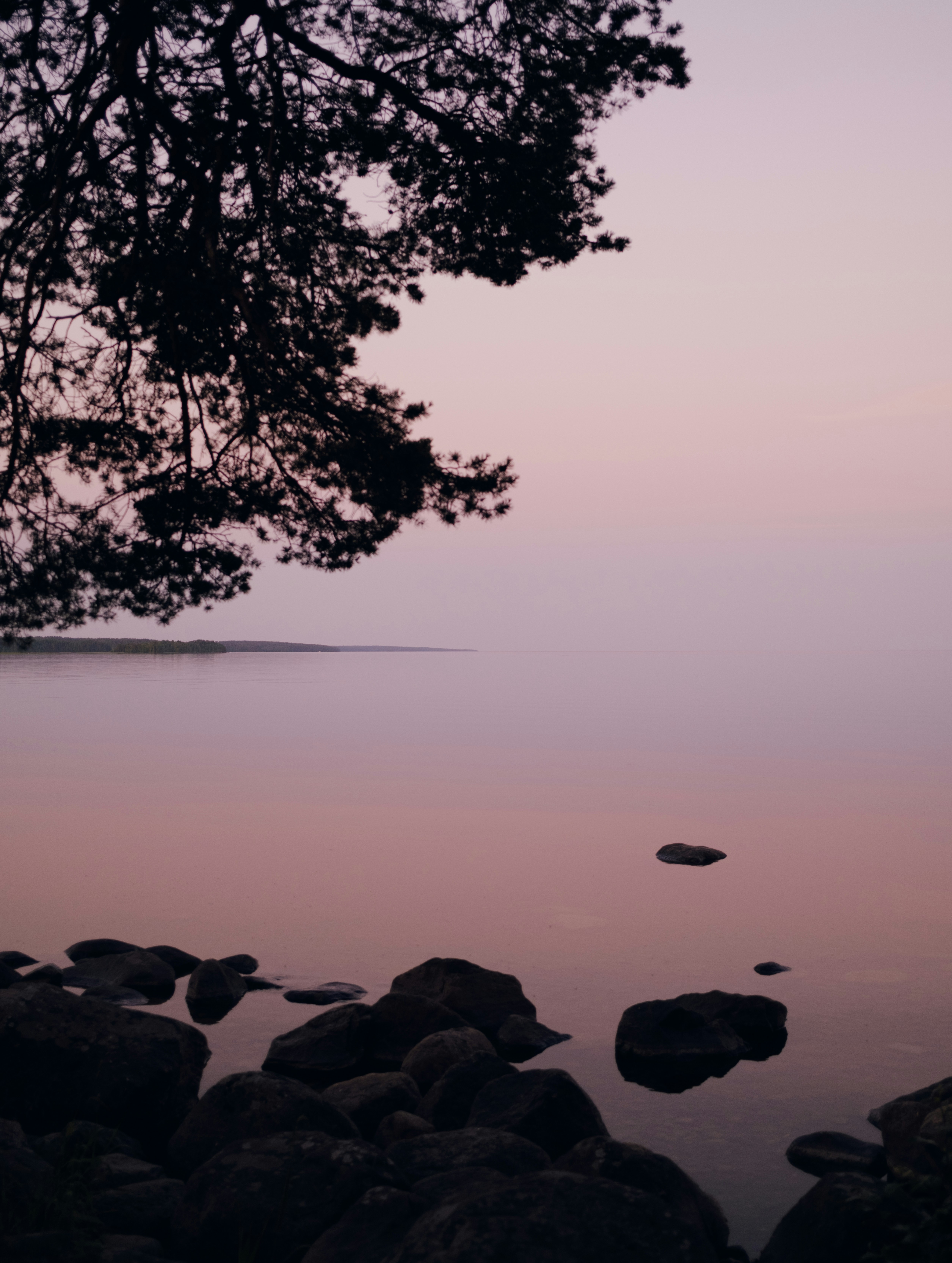 Photo by evil_bumblebee