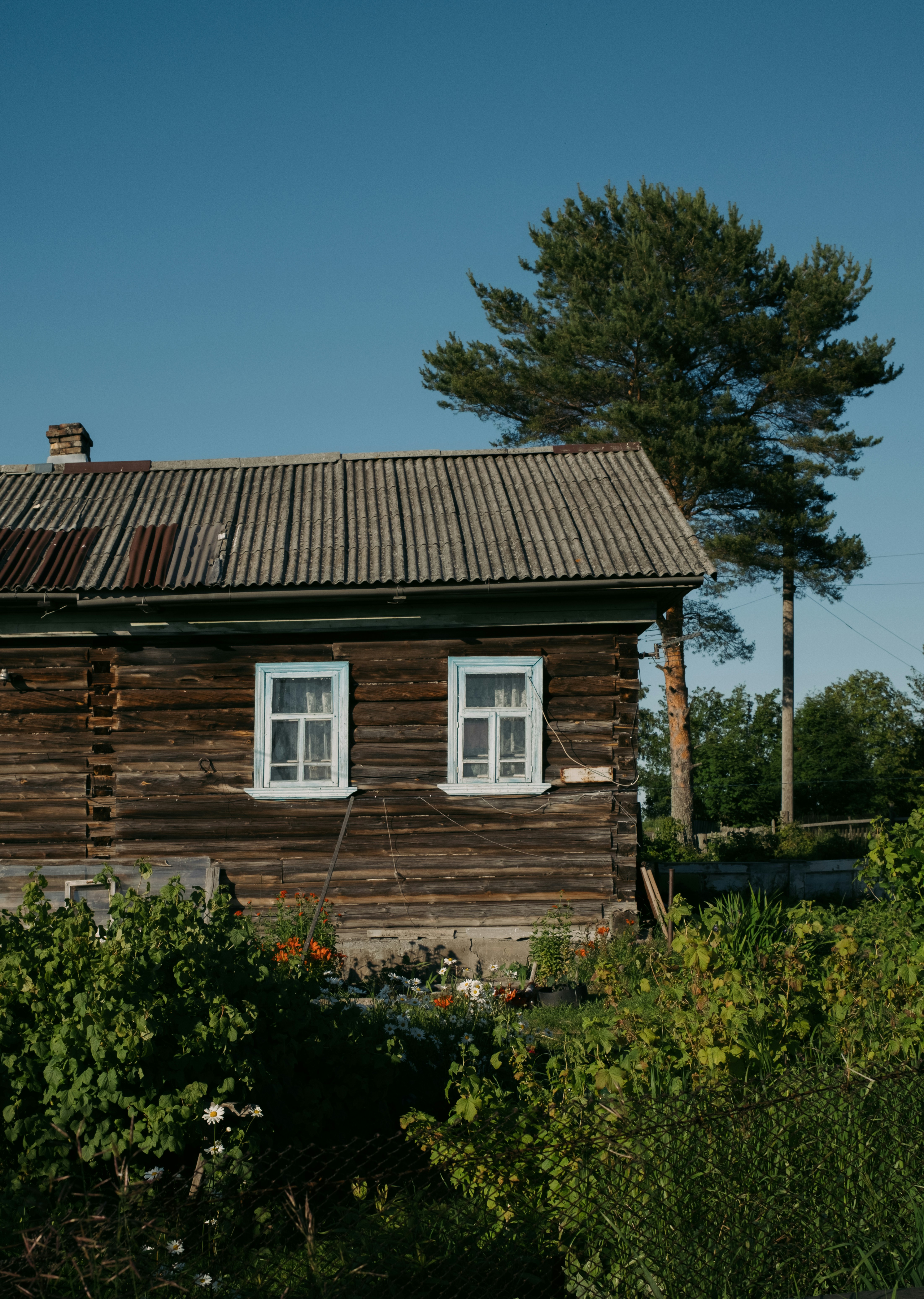 Photo by evil_bumblebee