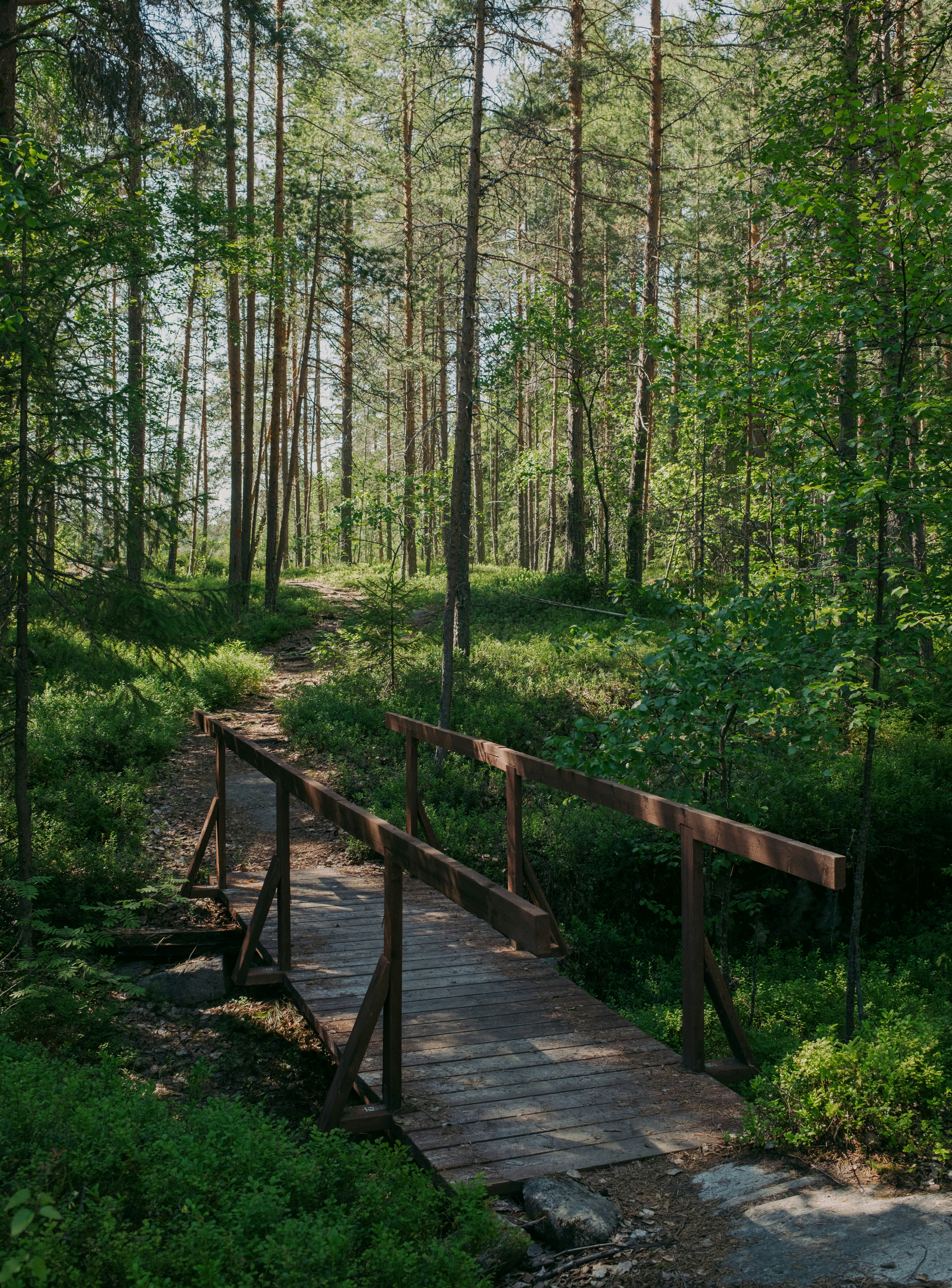 Photo by evil_bumblebee