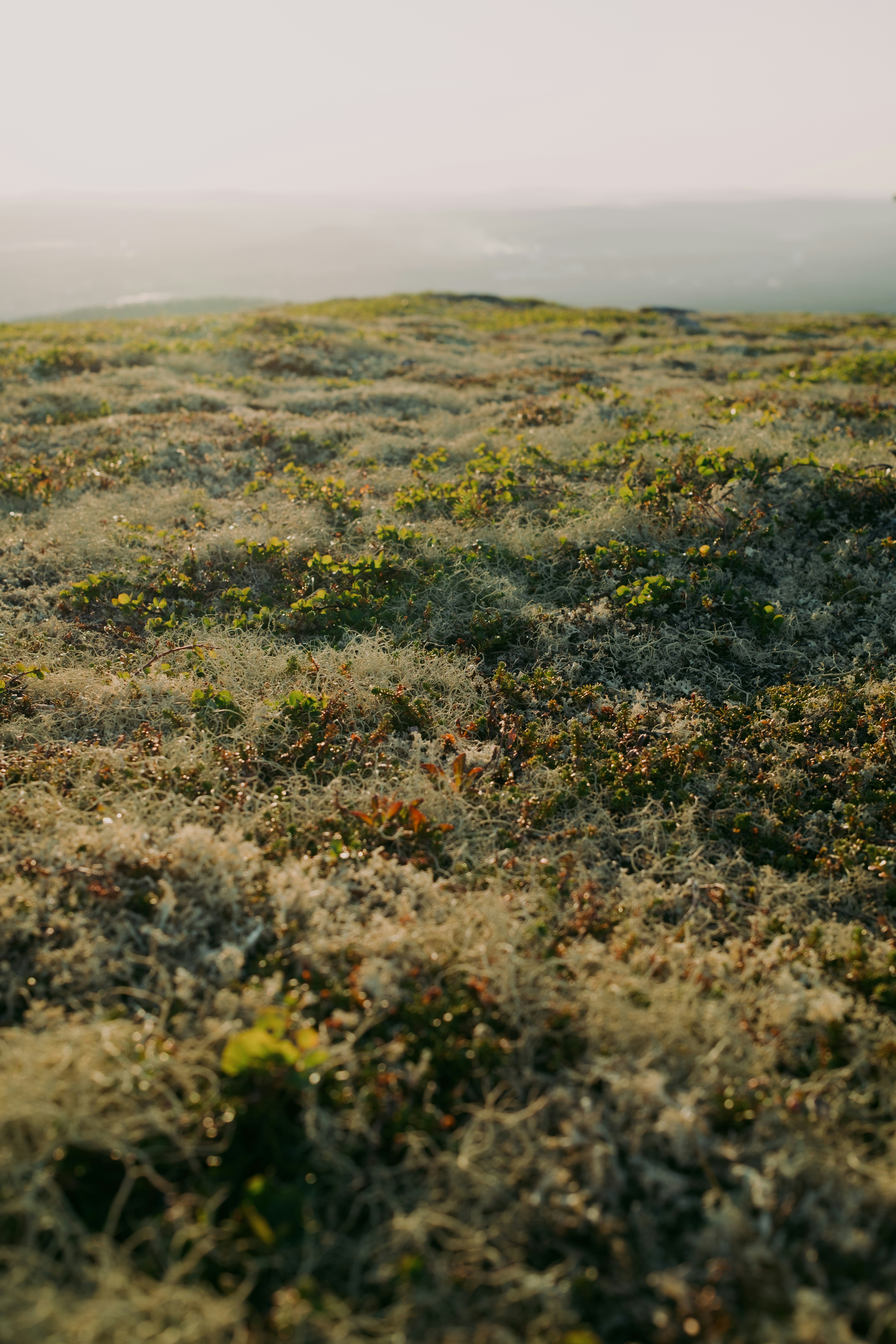 Photo by evil_bumblebee