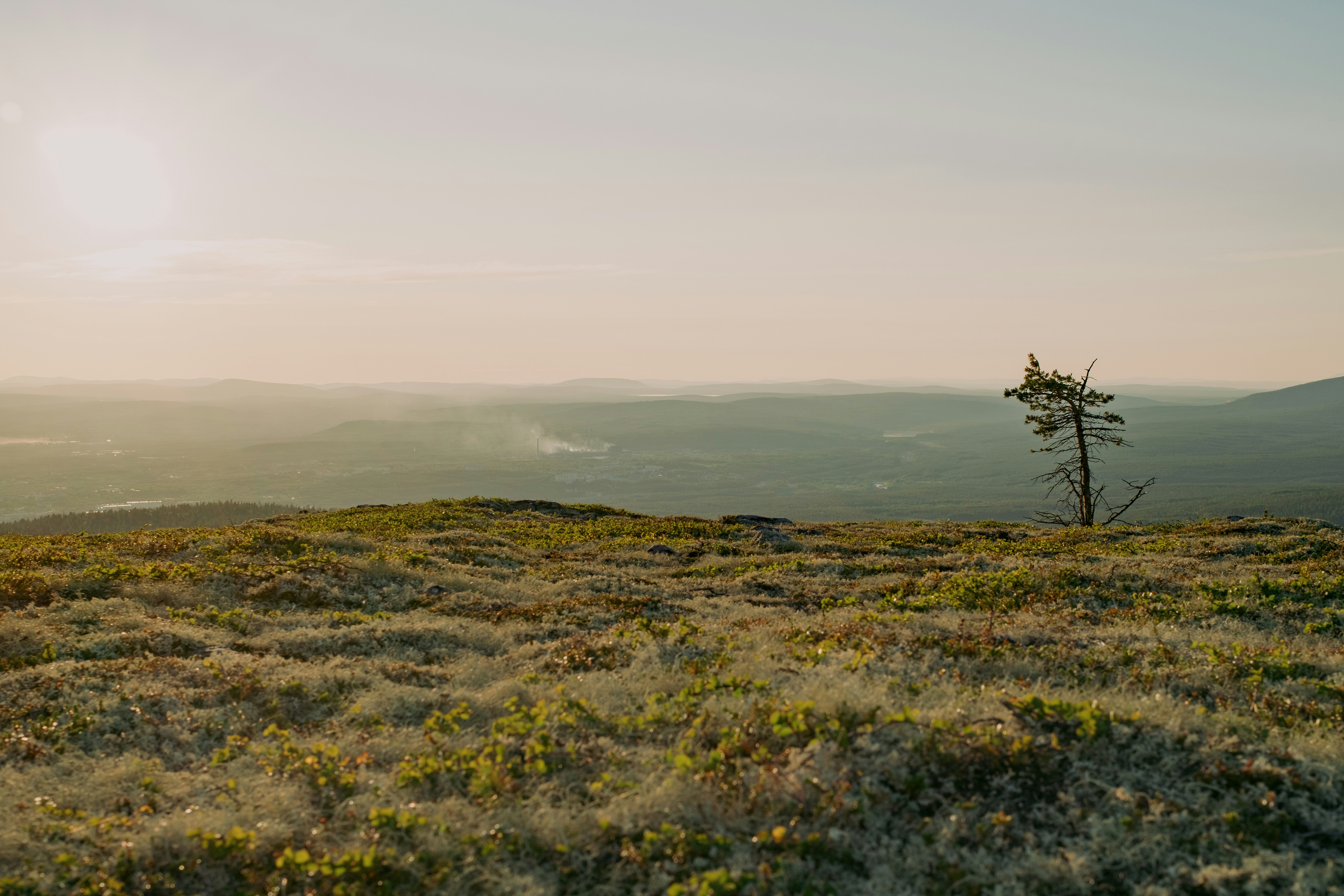 Photo by evil_bumblebee