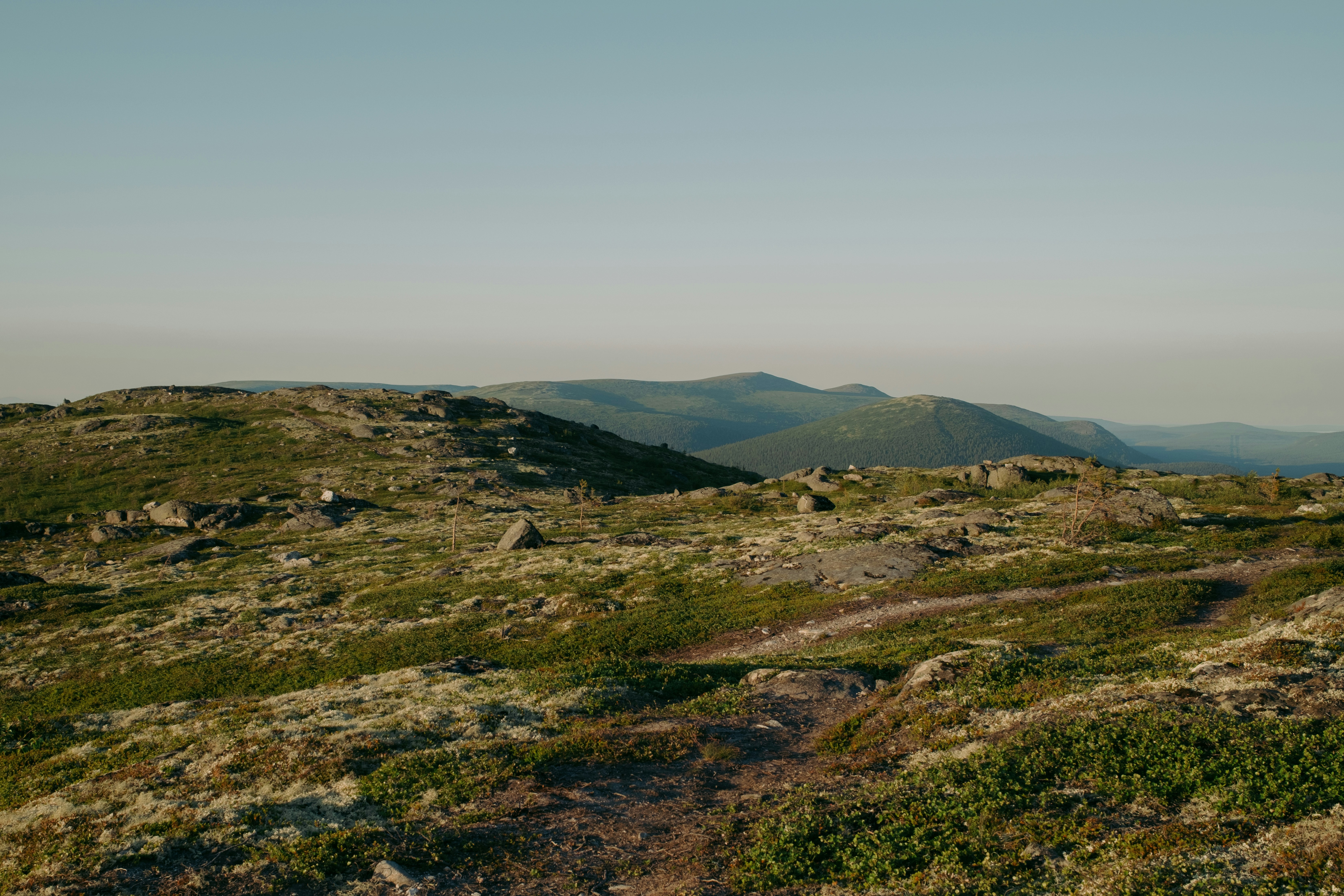 Photo by evil_bumblebee