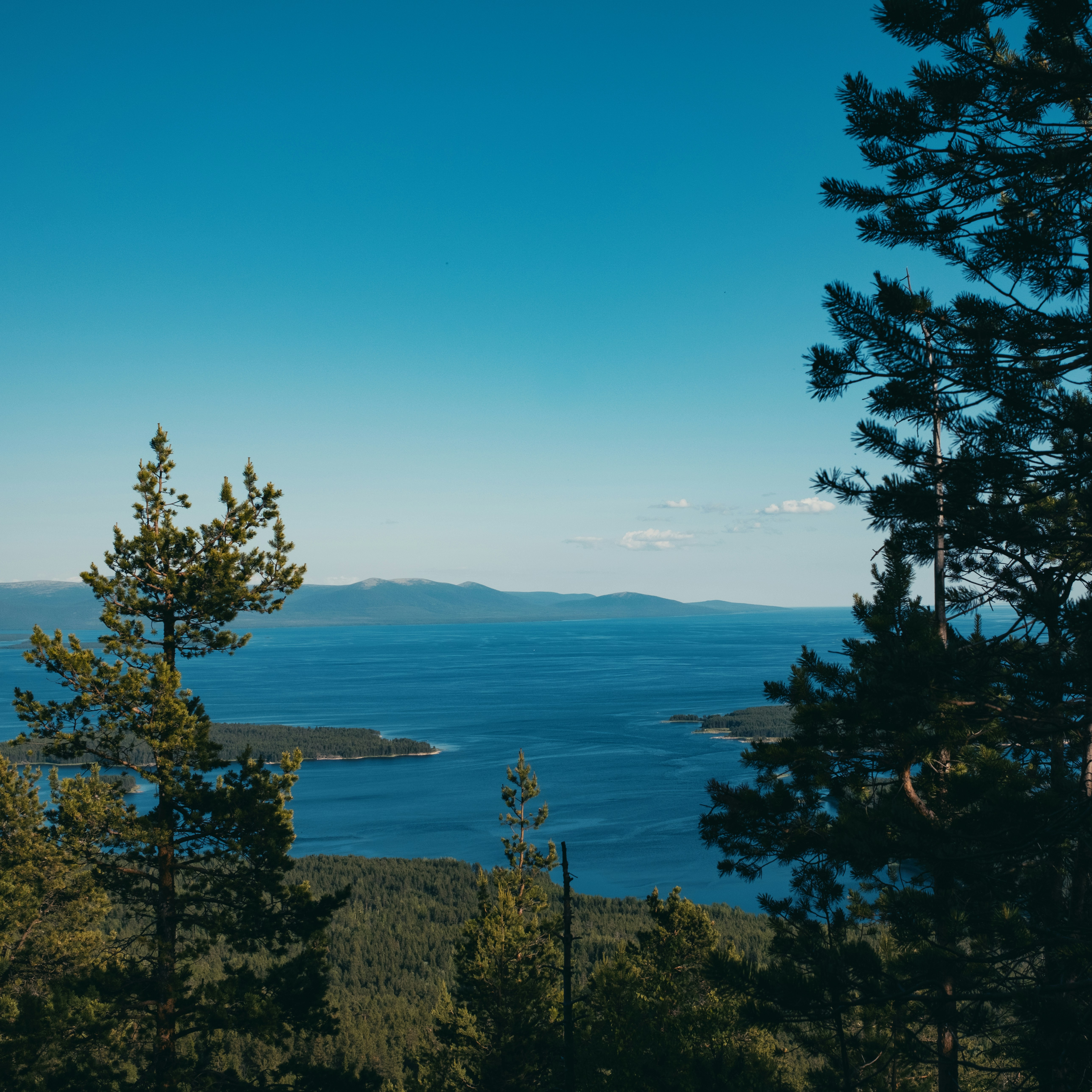 Photo by evil_bumblebee