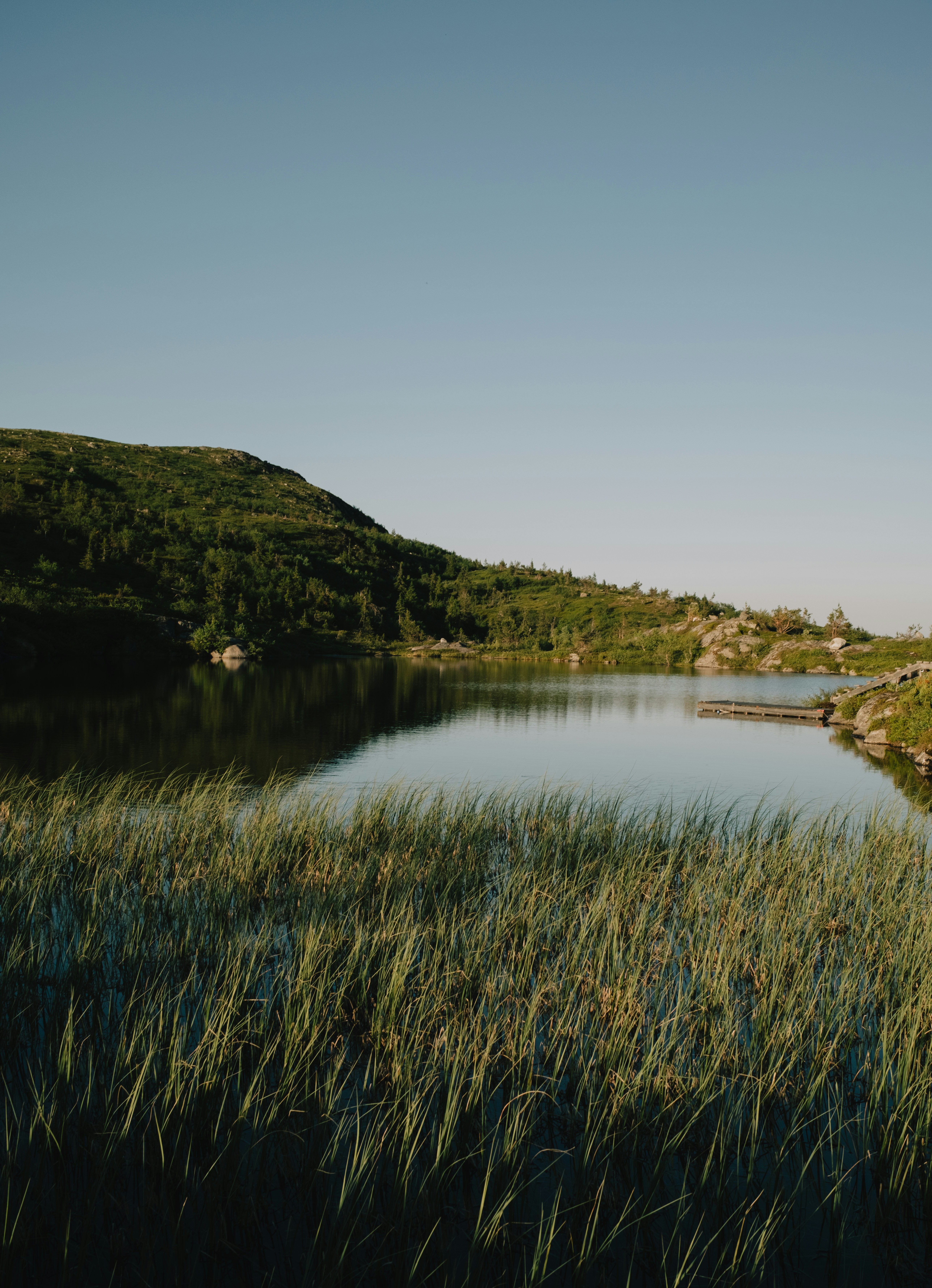 Photo by evil_bumblebee