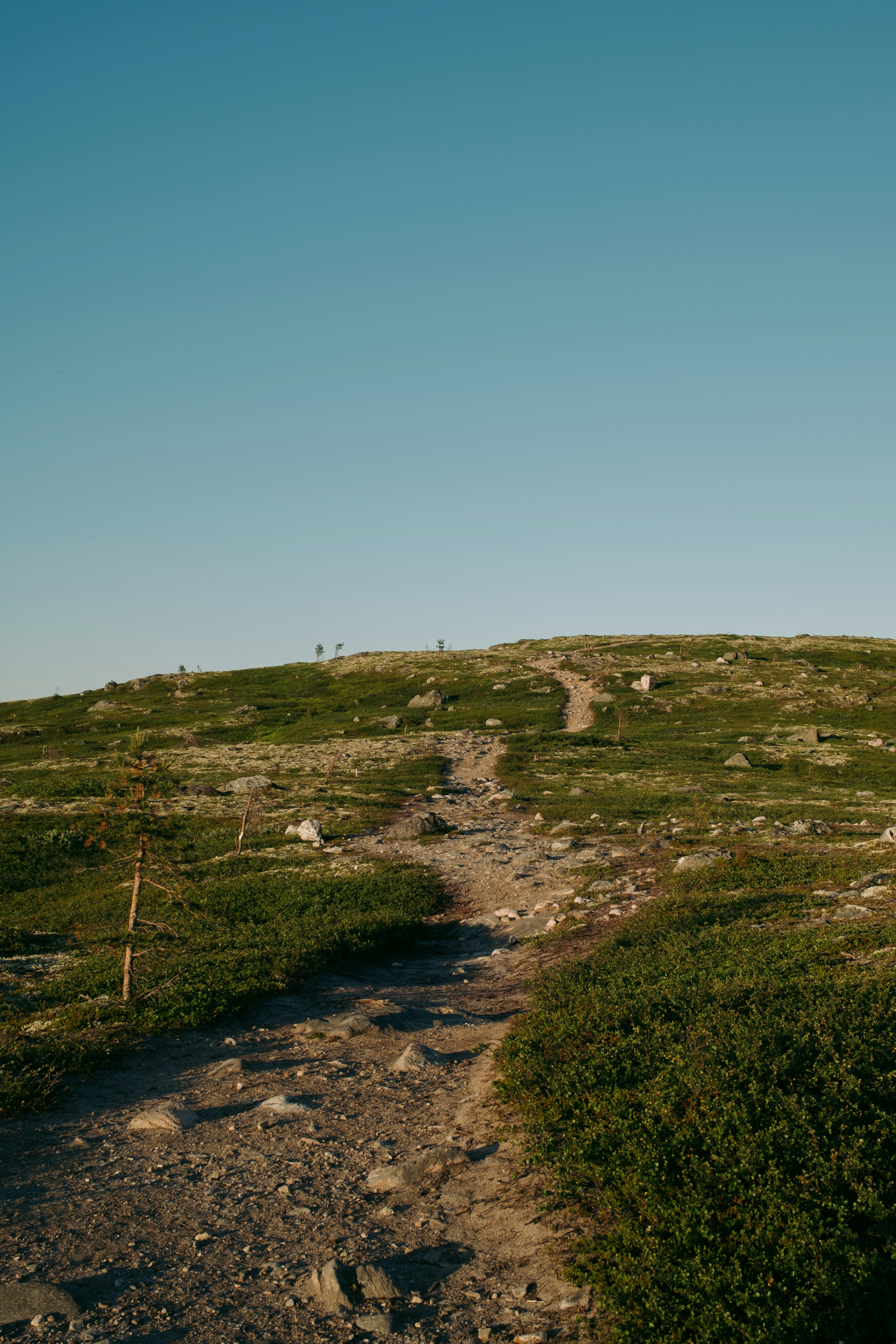 Photo by evil_bumblebee