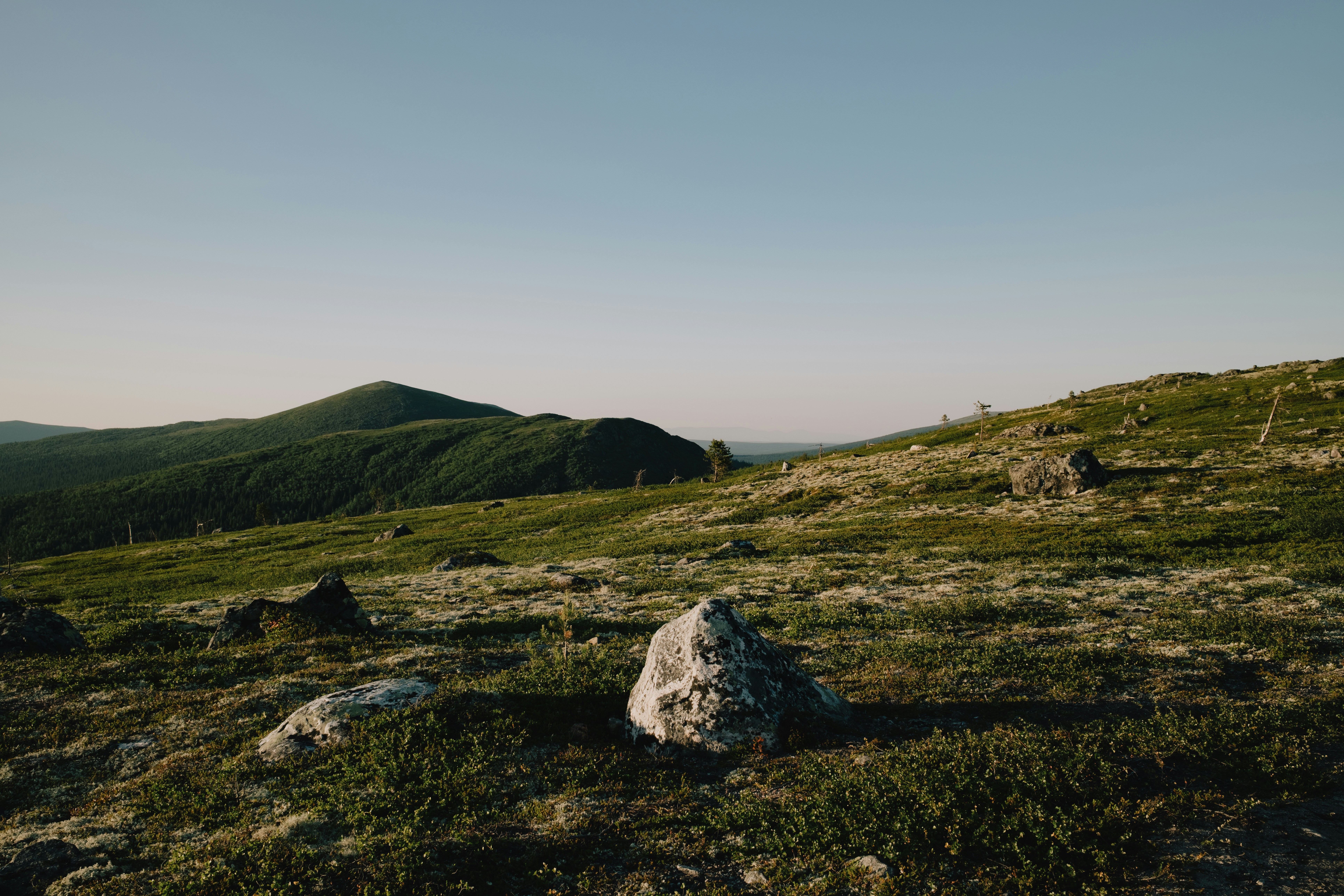 Photo by evil_bumblebee