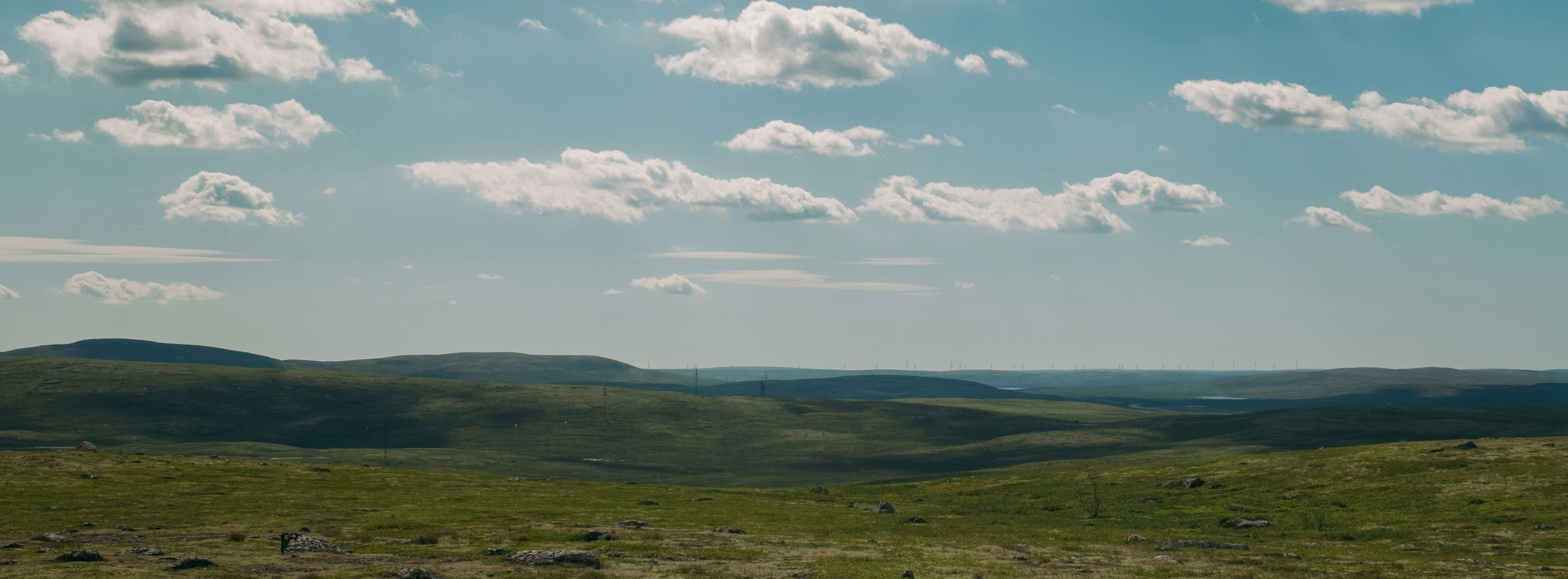 Photo by evil_bumblebee