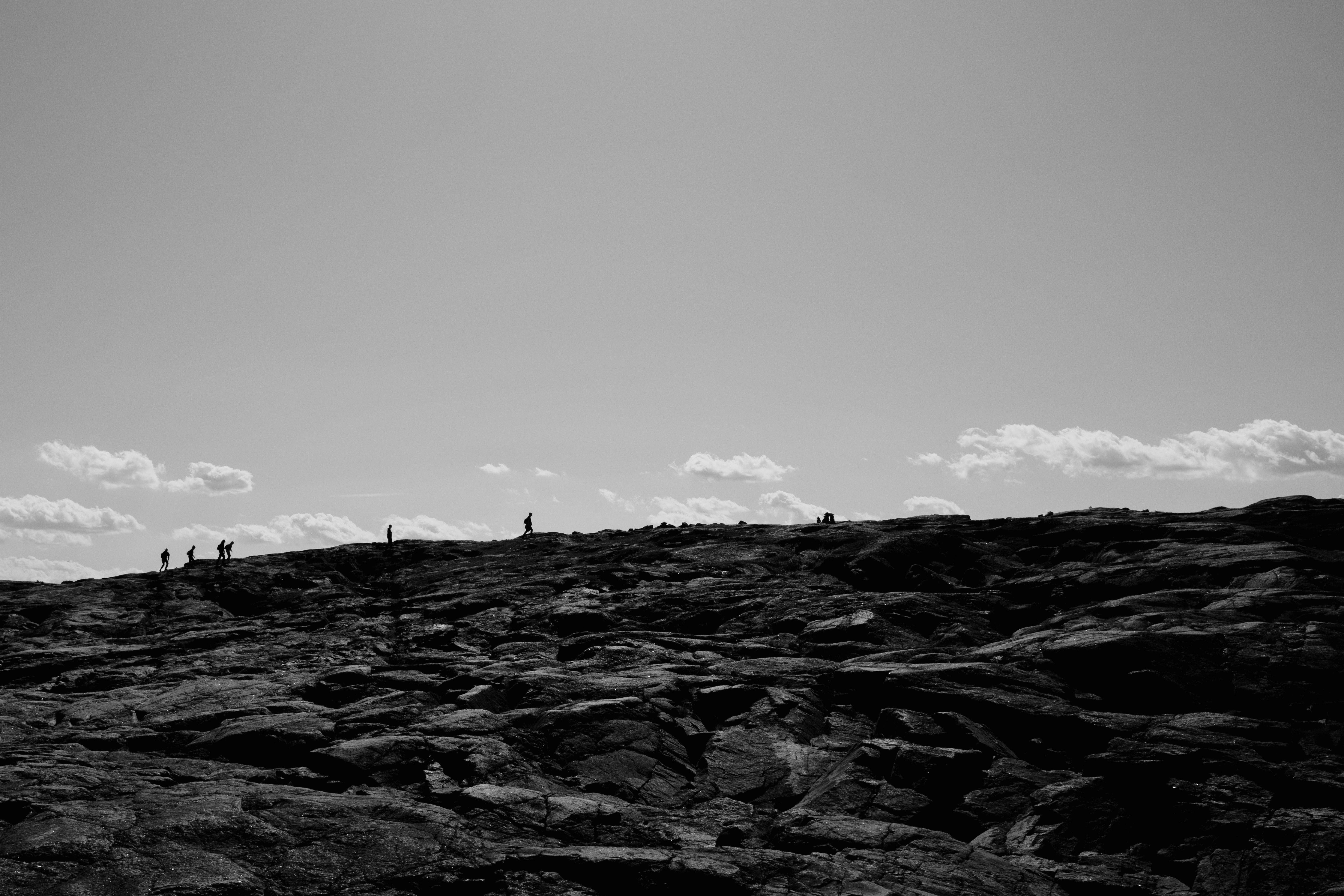 Photo by evil_bumblebee