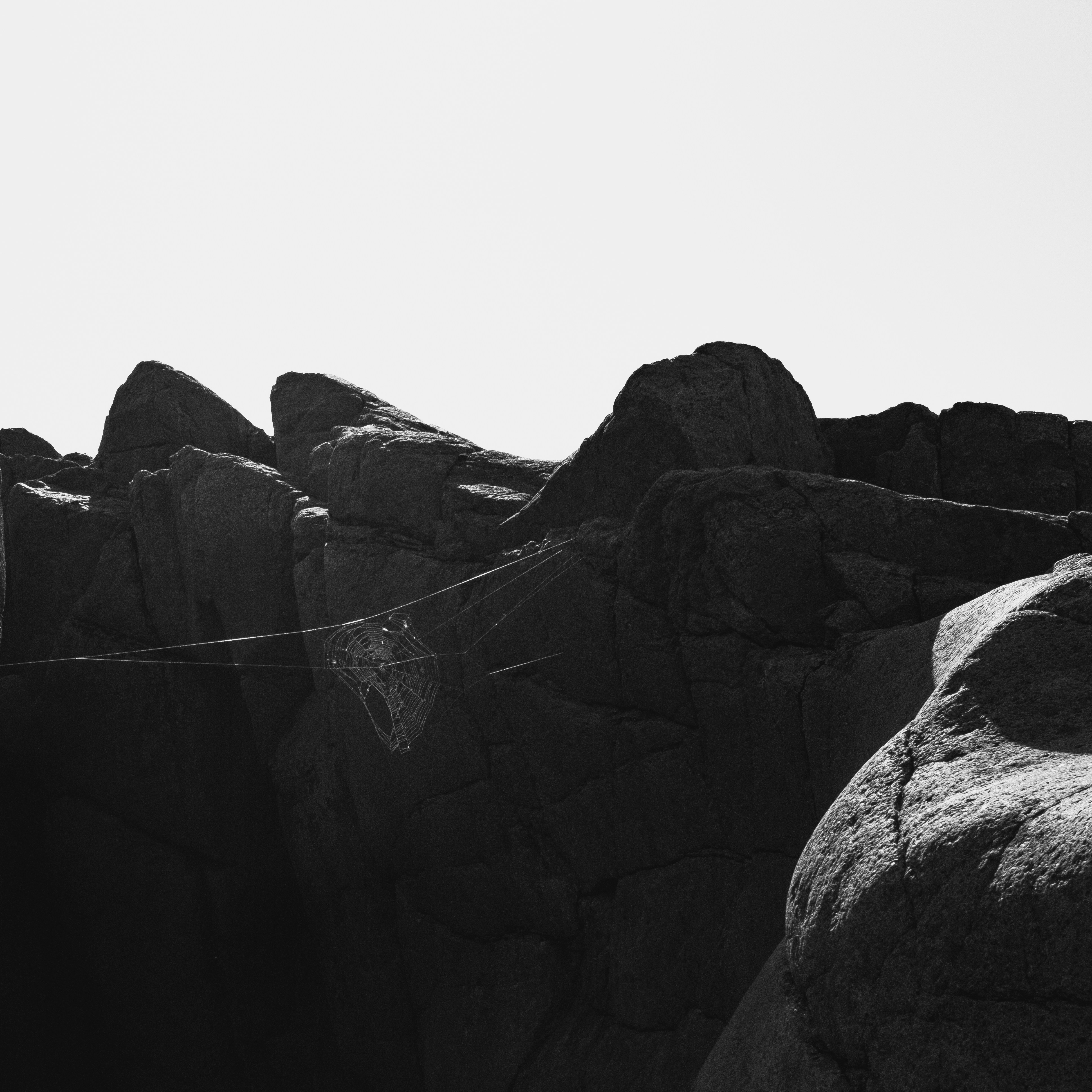 Photo by evil_bumblebee