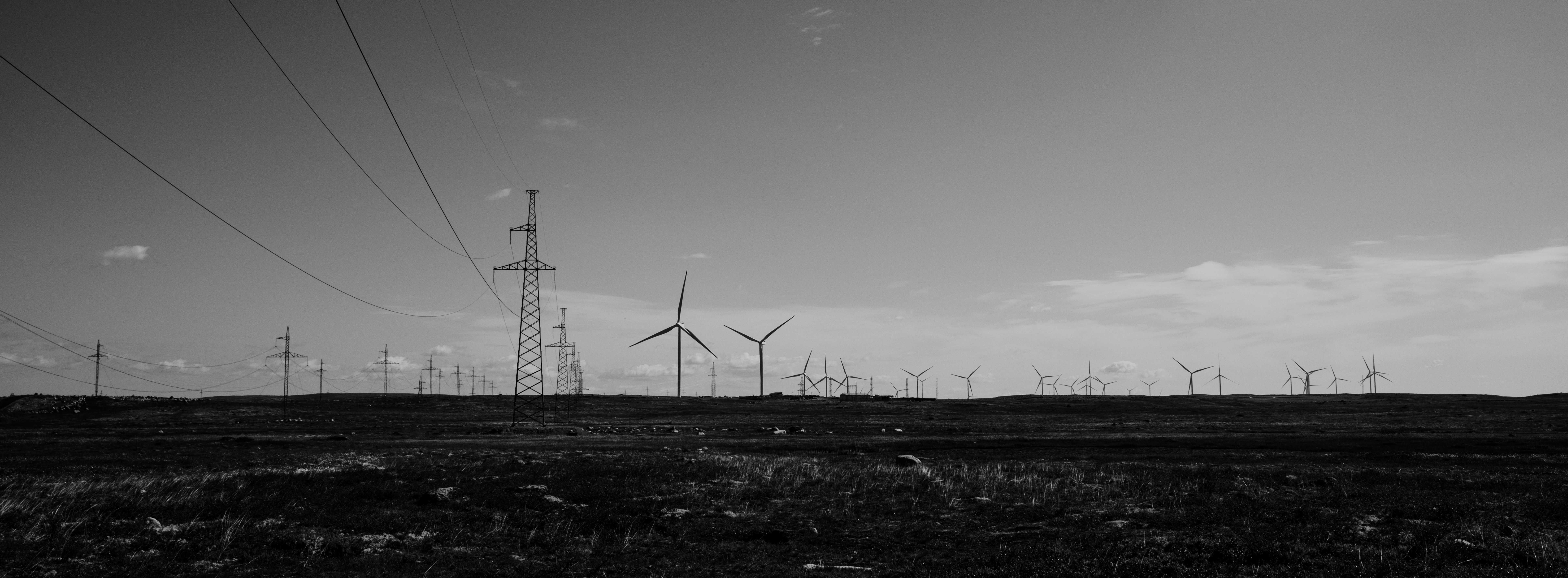 Photo by evil_bumblebee