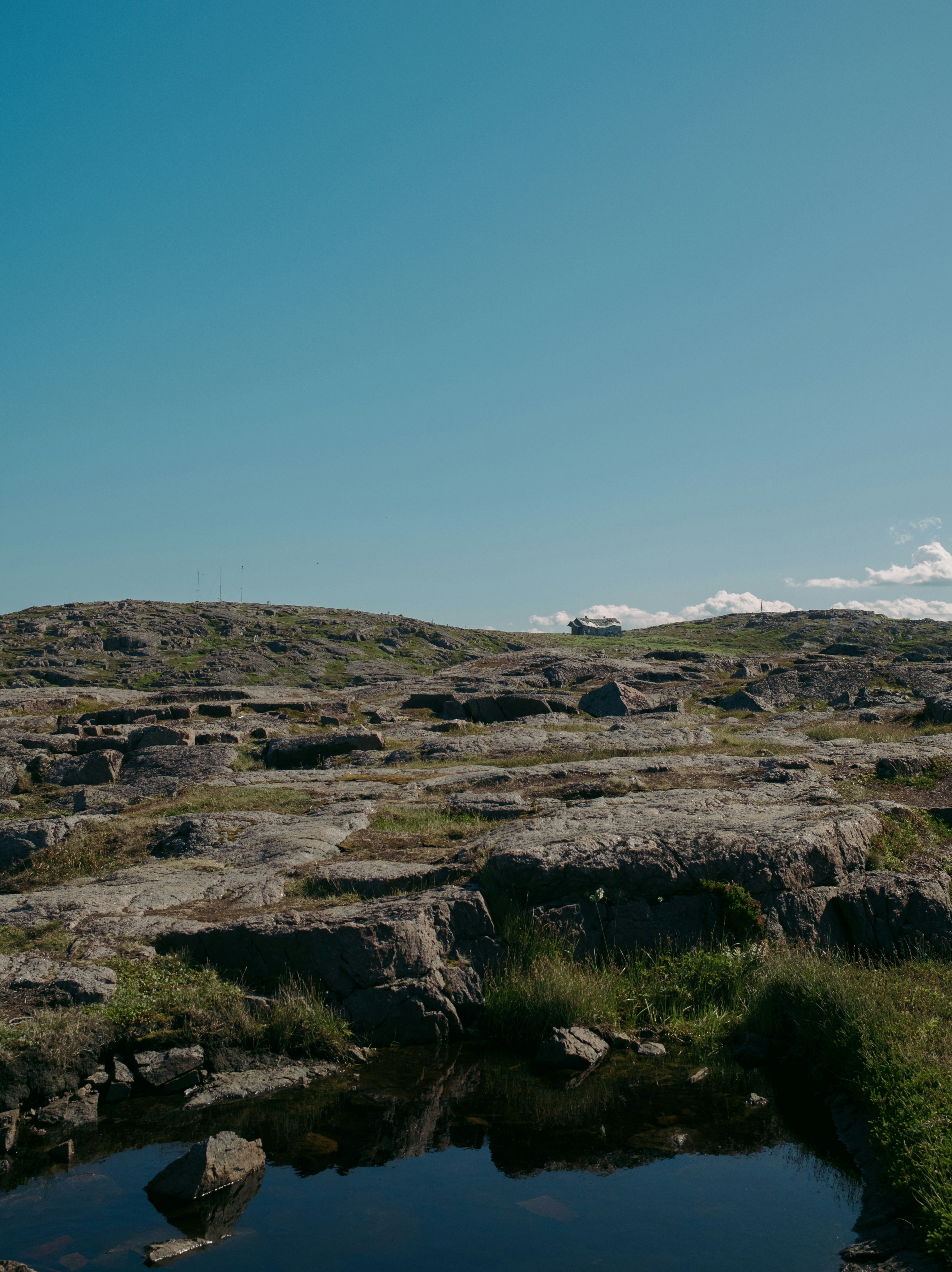 Photo by evil_bumblebee