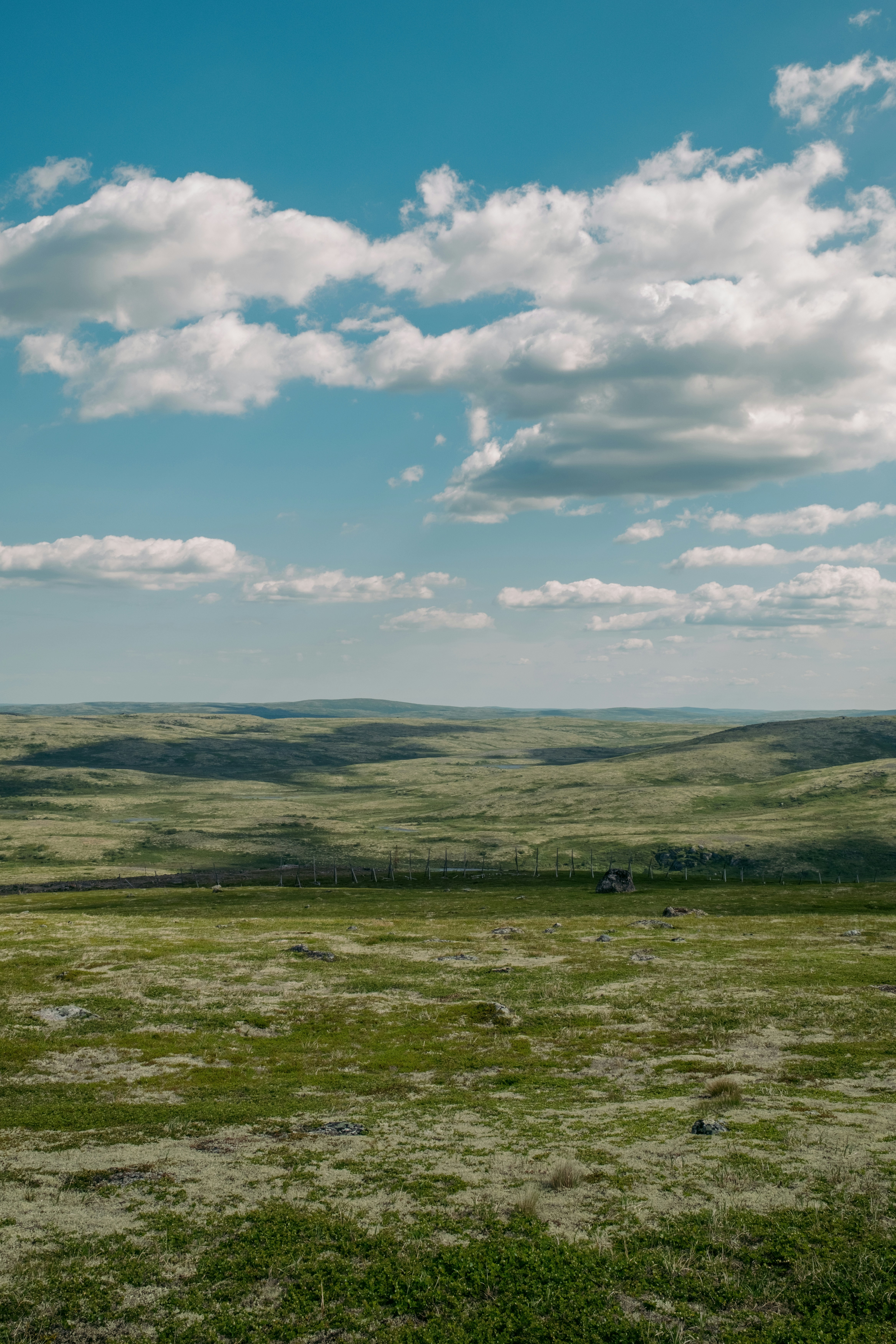 Photo by evil_bumblebee