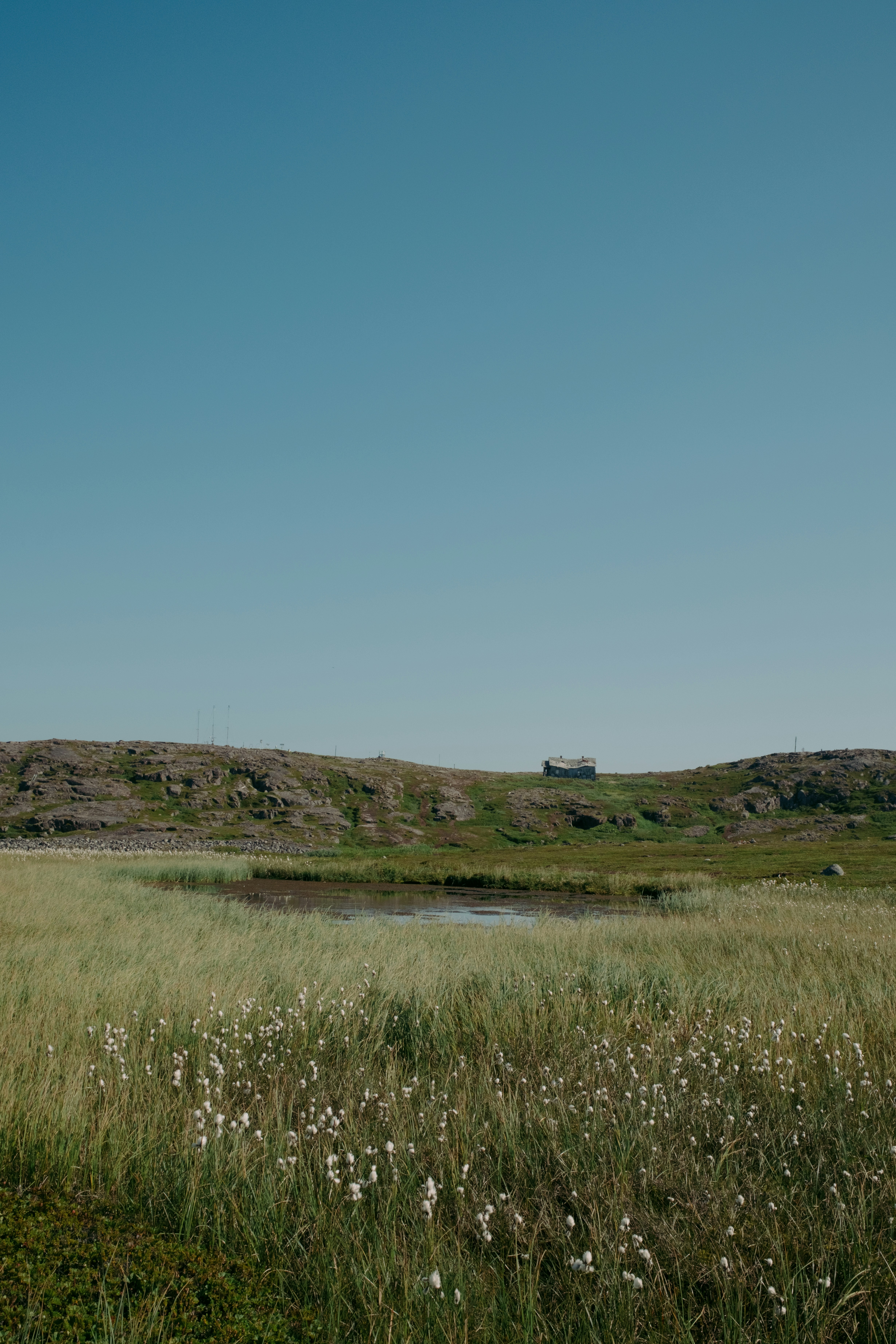 Photo by evil_bumblebee