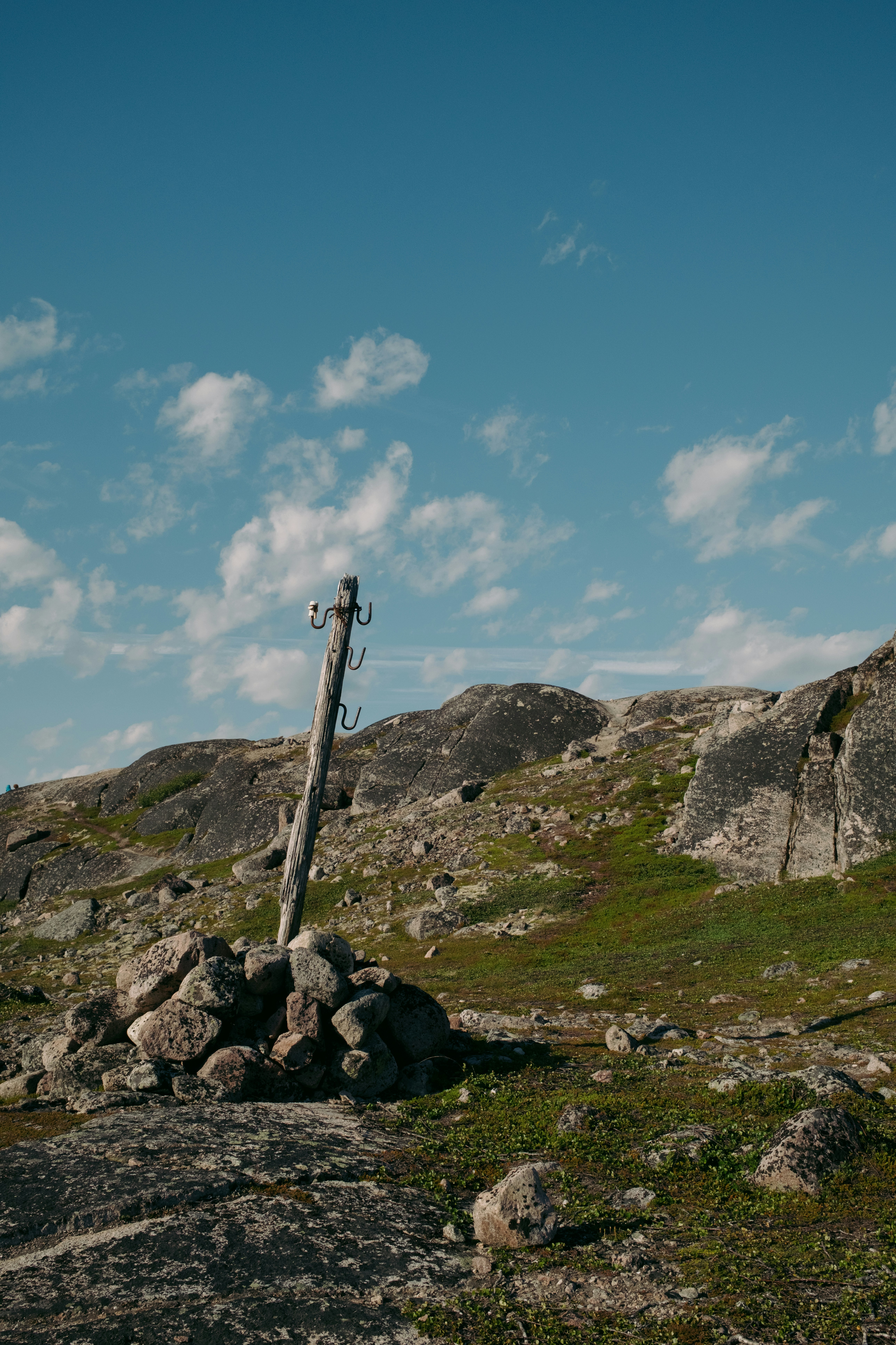 Photo by evil_bumblebee