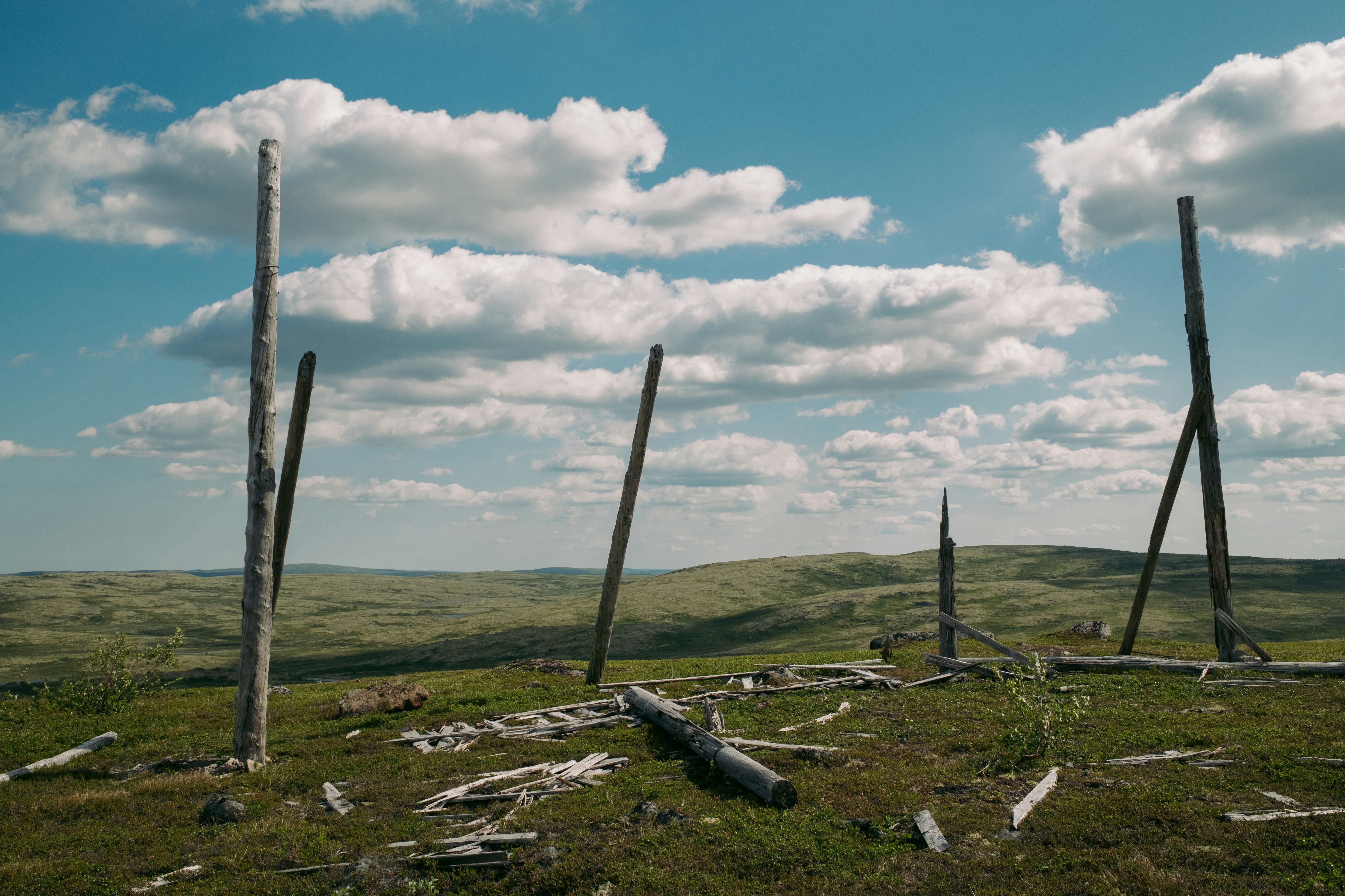 Photo by evil_bumblebee