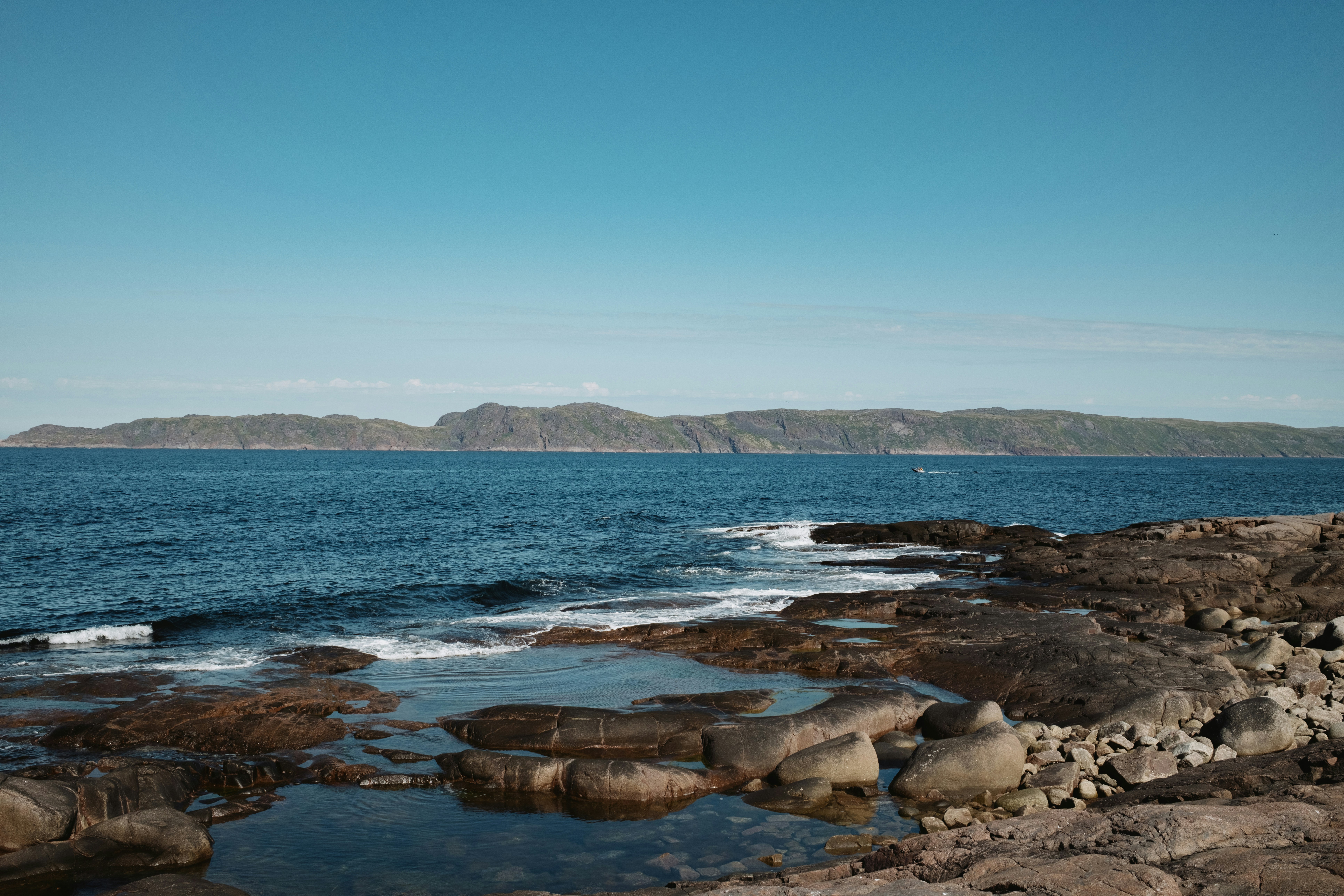 Photo by evil_bumblebee