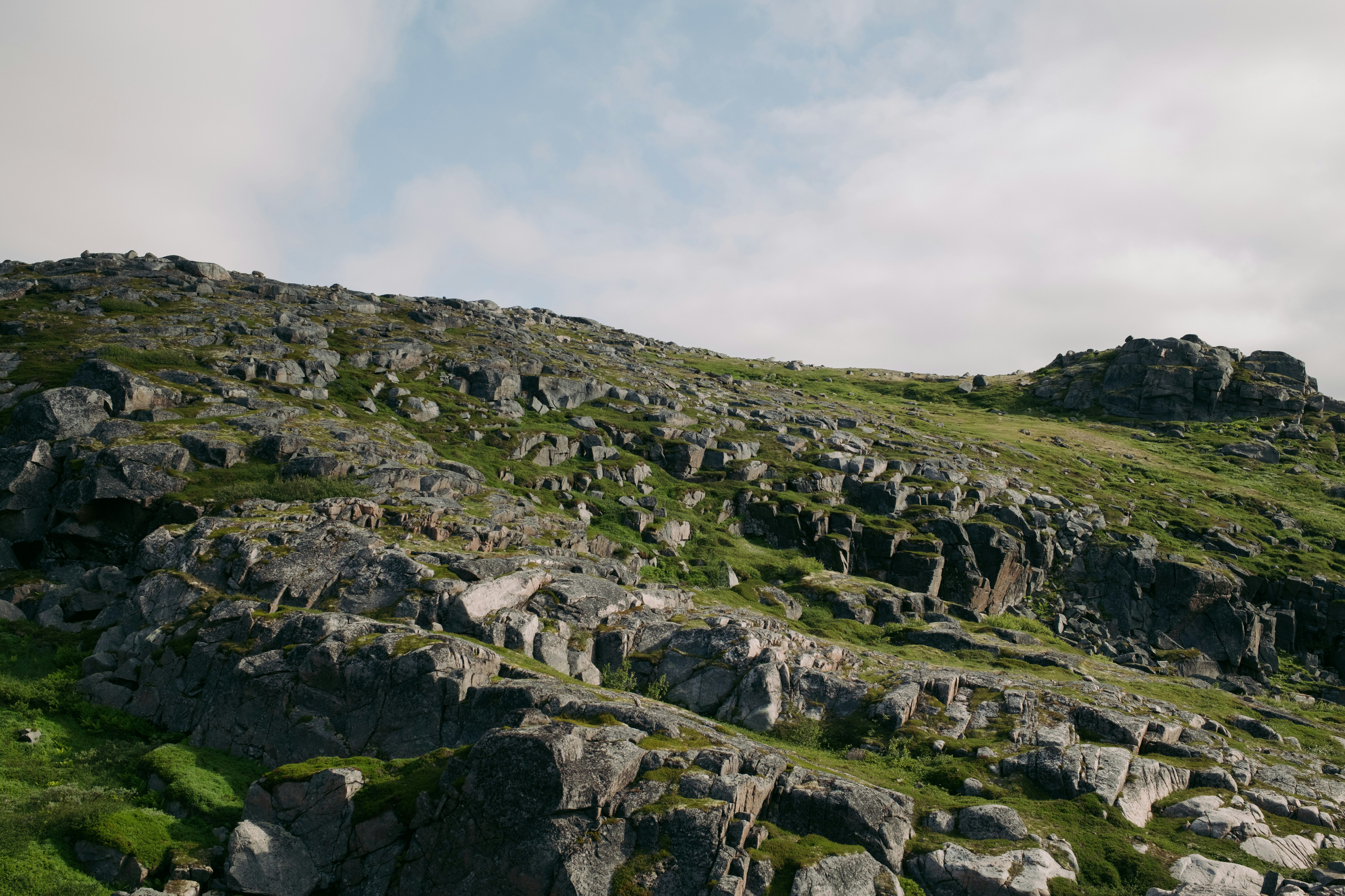 Photo by evil_bumblebee