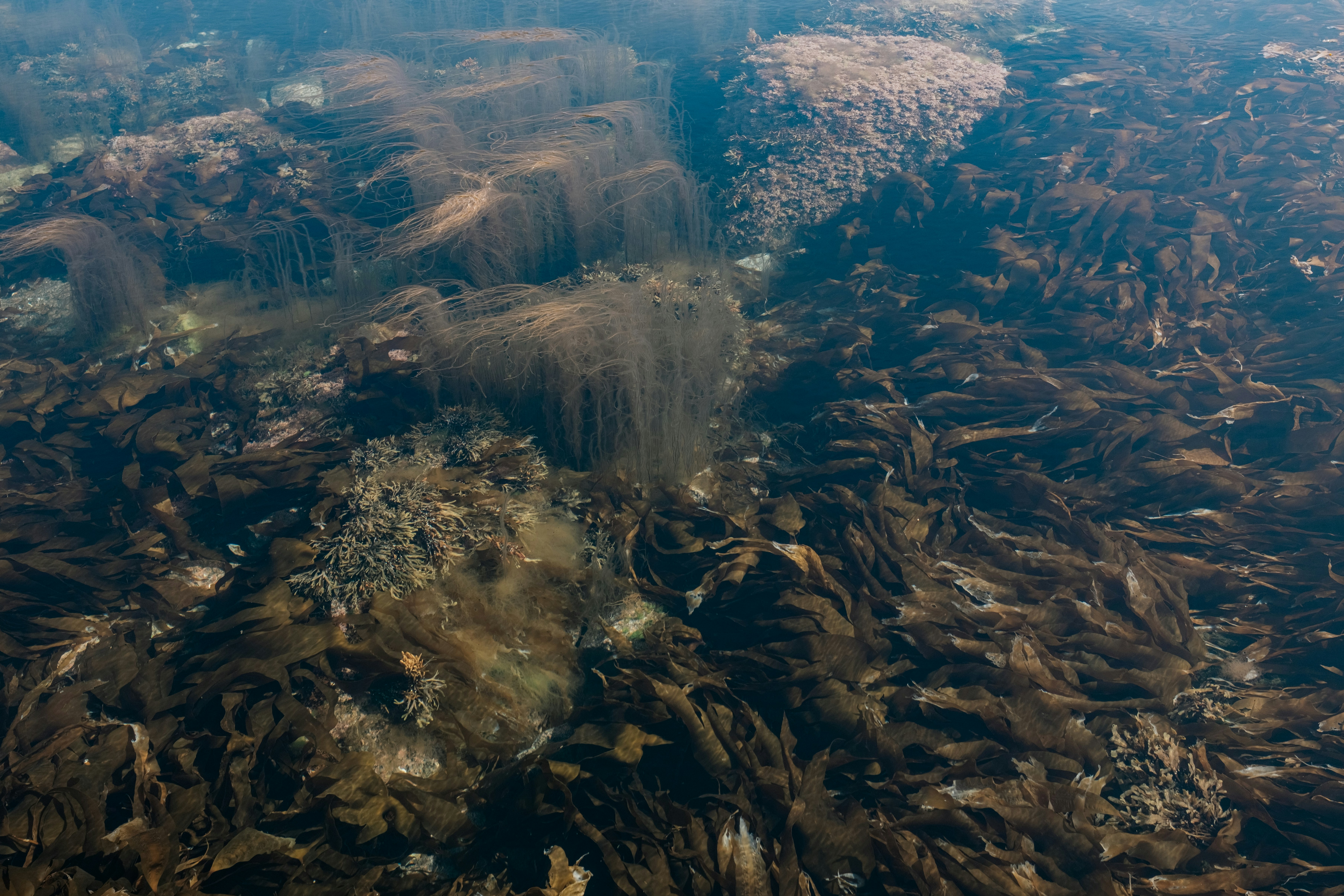 Photo by evil_bumblebee