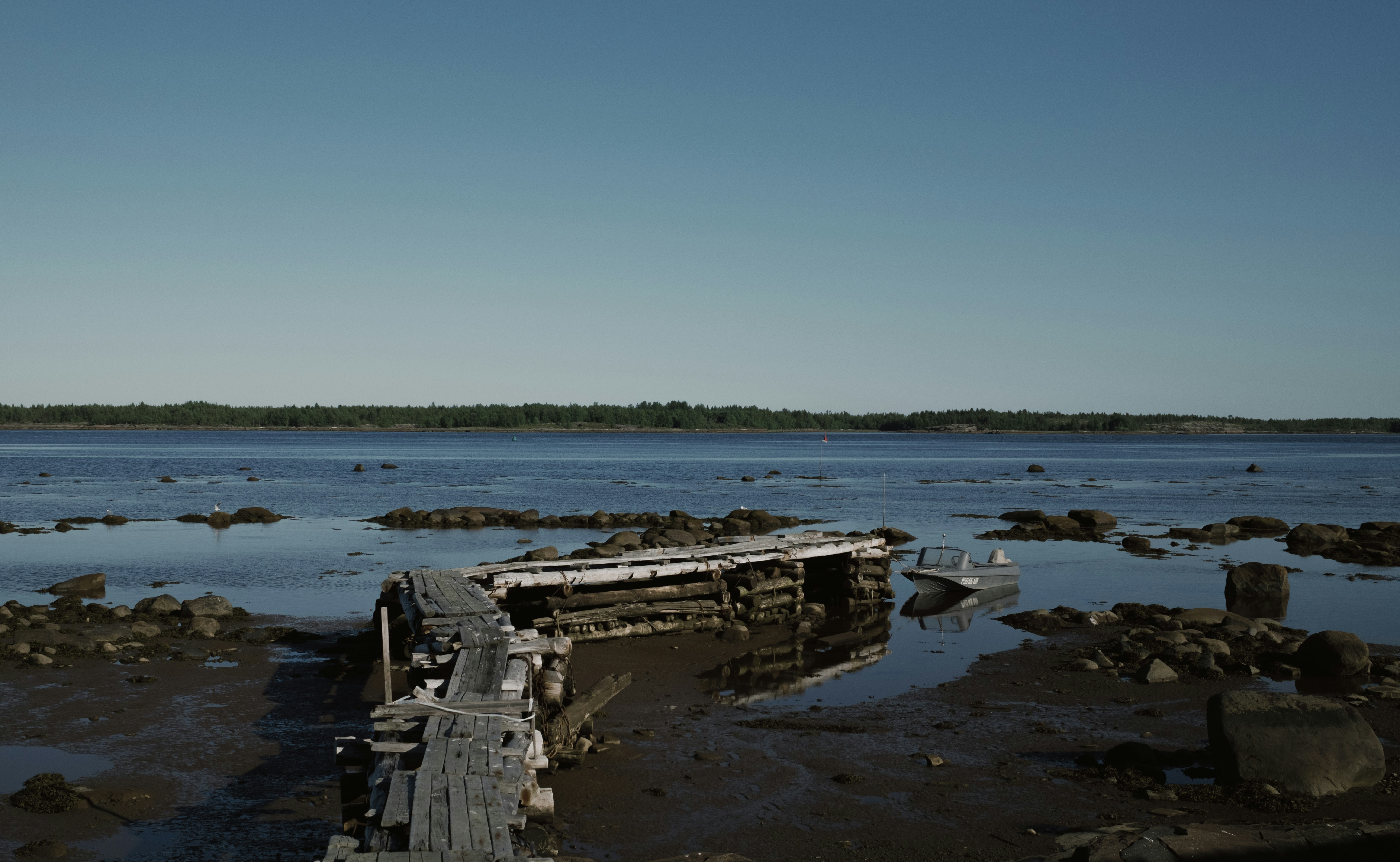 Photo by evil_bumblebee