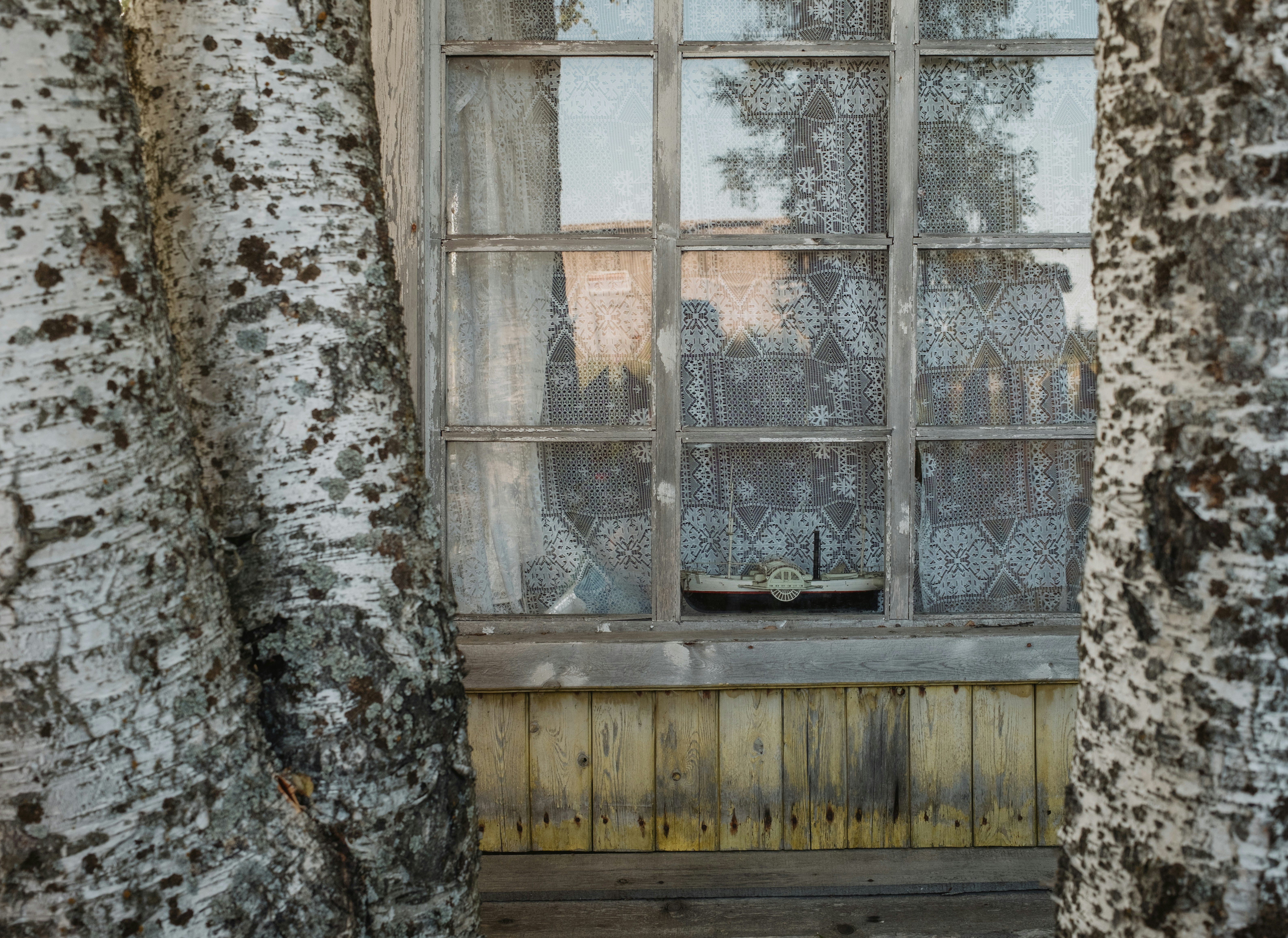 Photo by evil_bumblebee