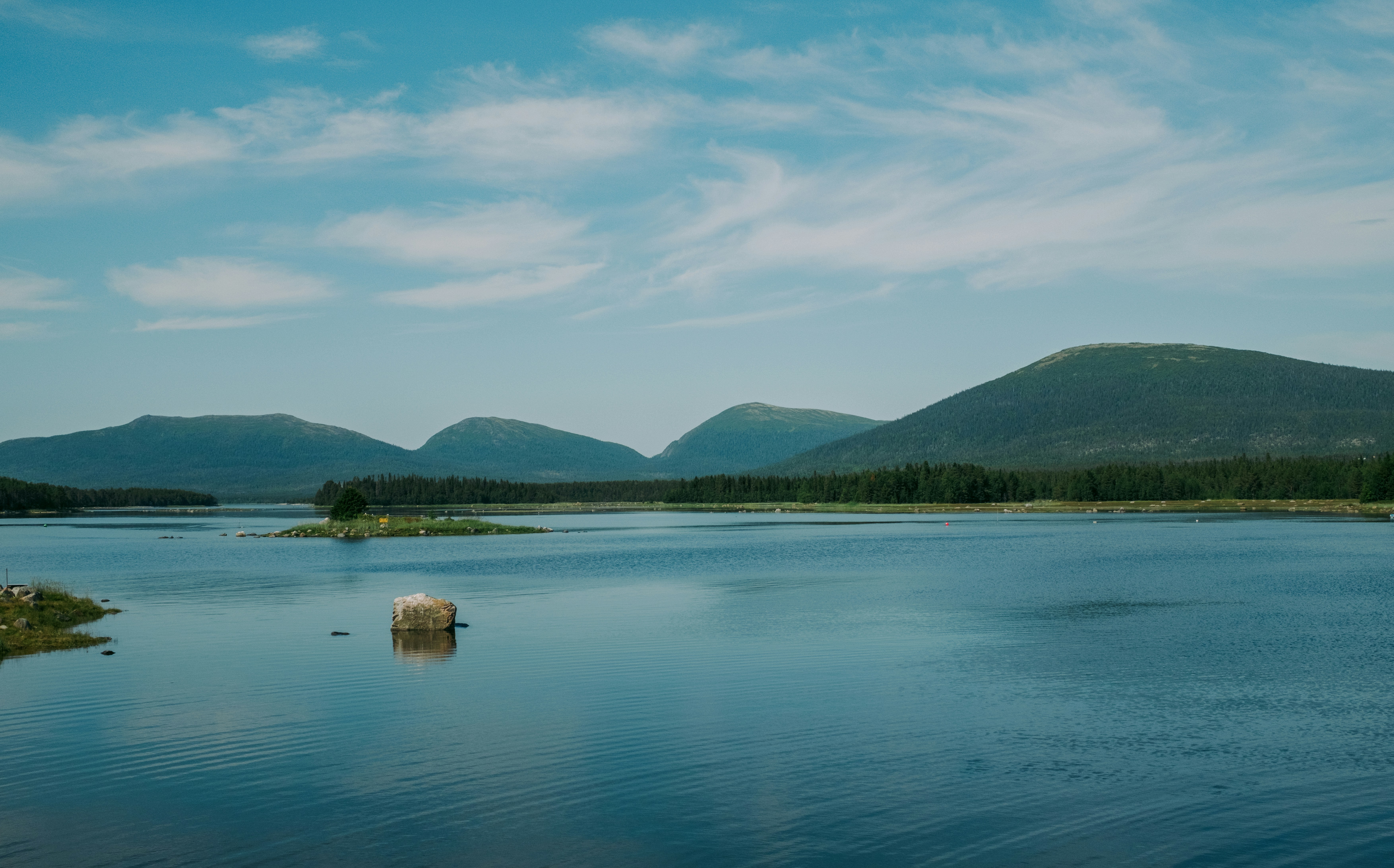 Photo by evil_bumblebee