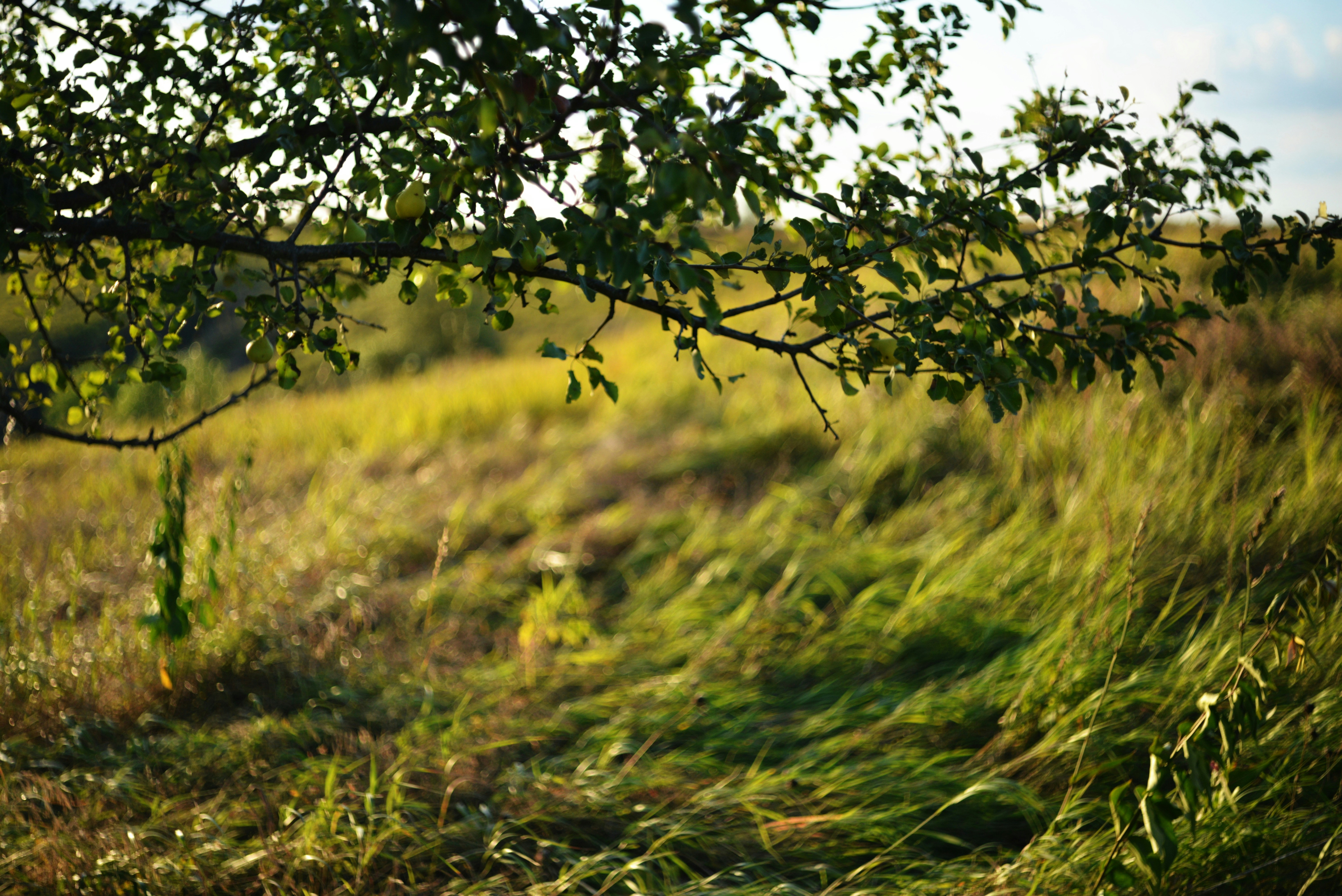 Photo by cherstve_pechivo