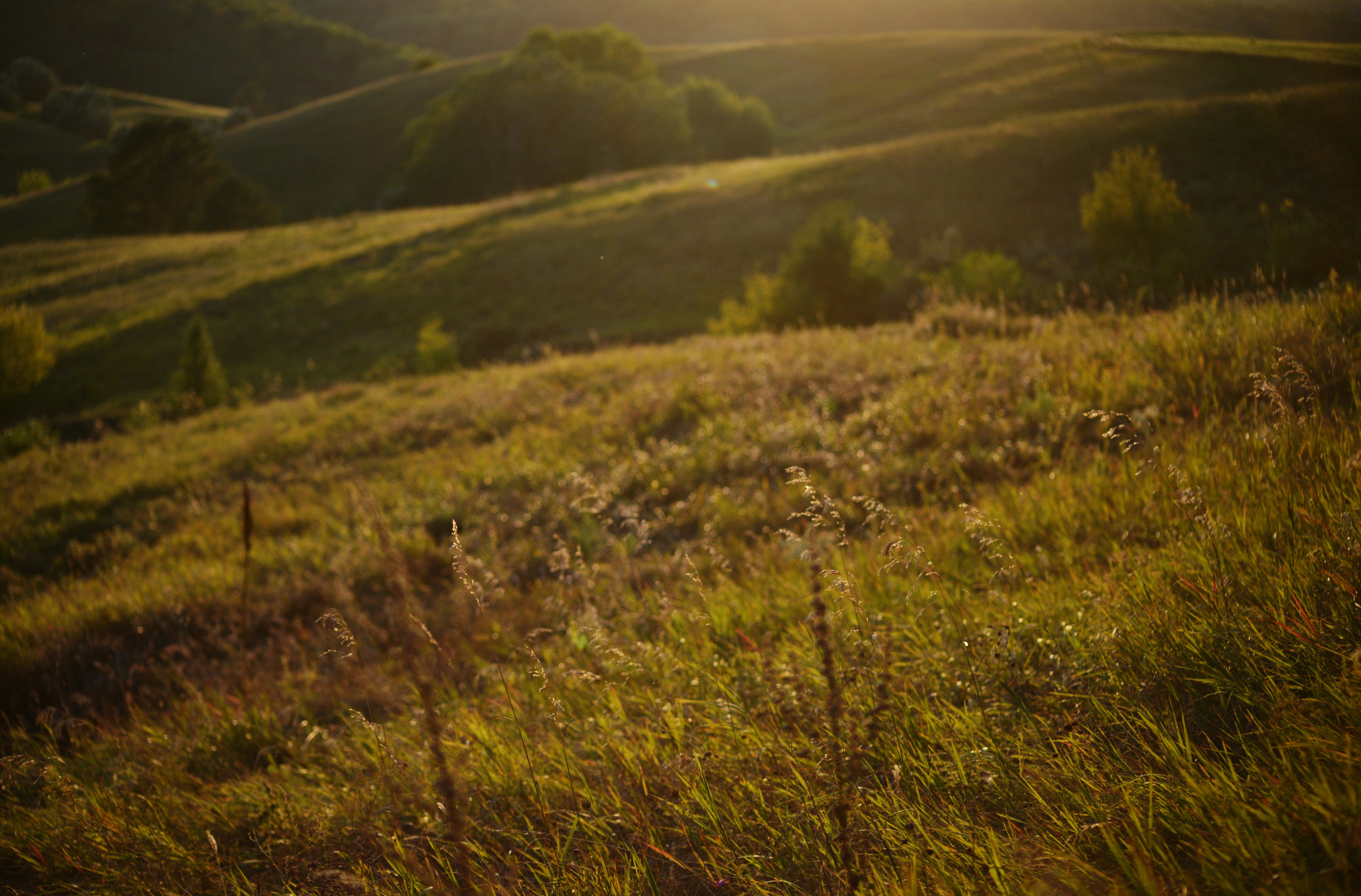 Photo by cherstve_pechivo