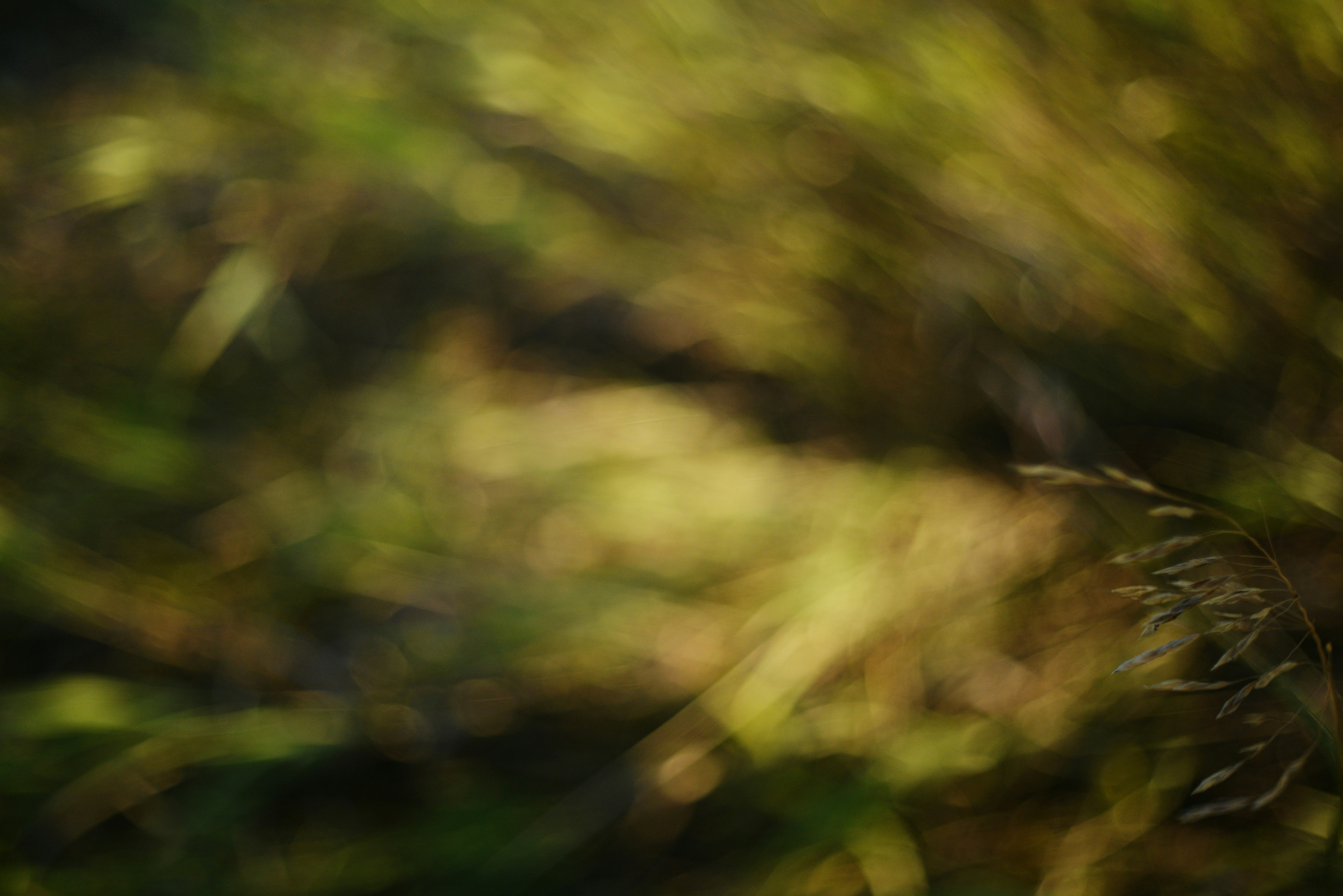 Photo by cherstve_pechivo