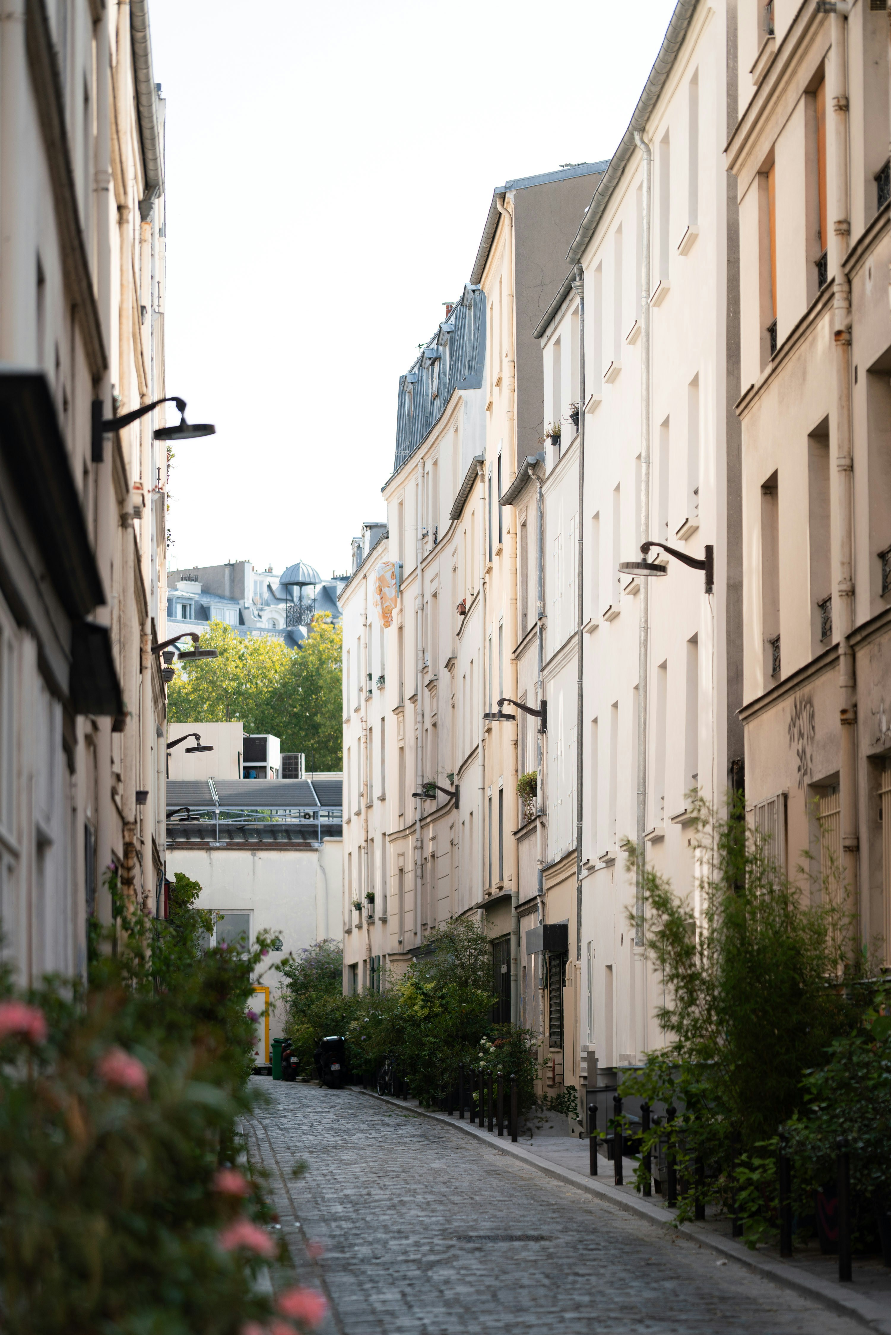 Photo by michaelfousert