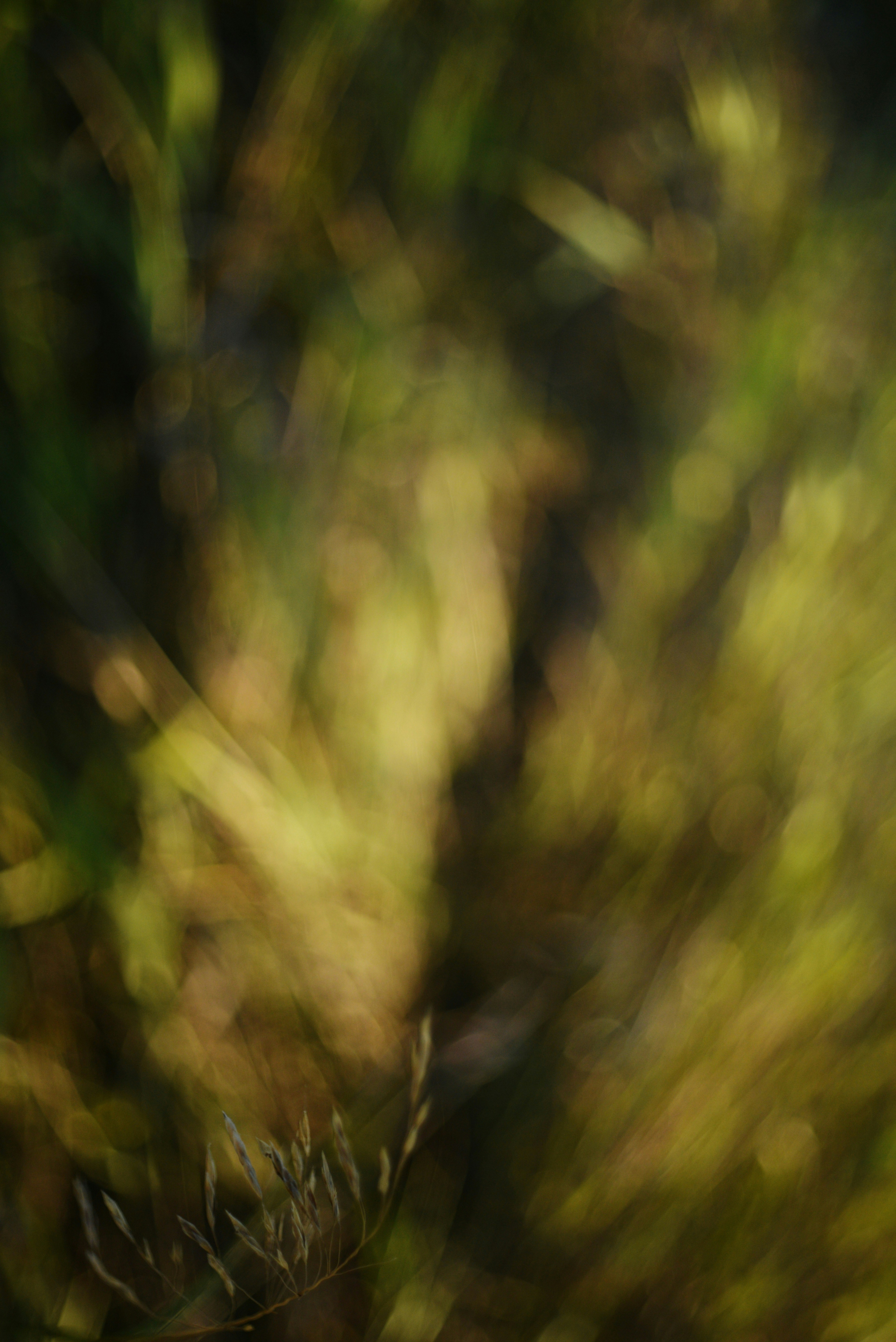 Photo by cherstve_pechivo