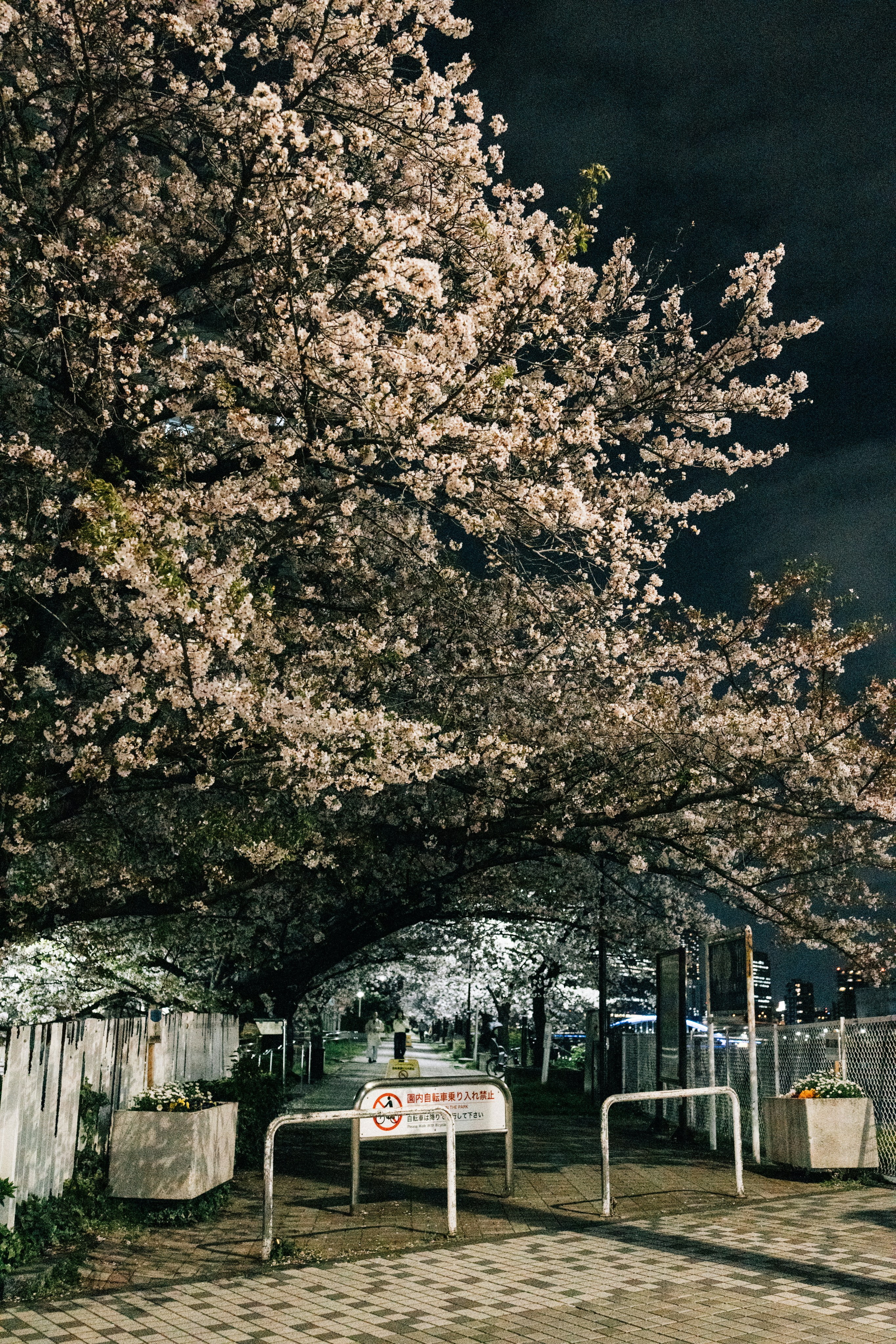 Photo by tsuyoshikozu