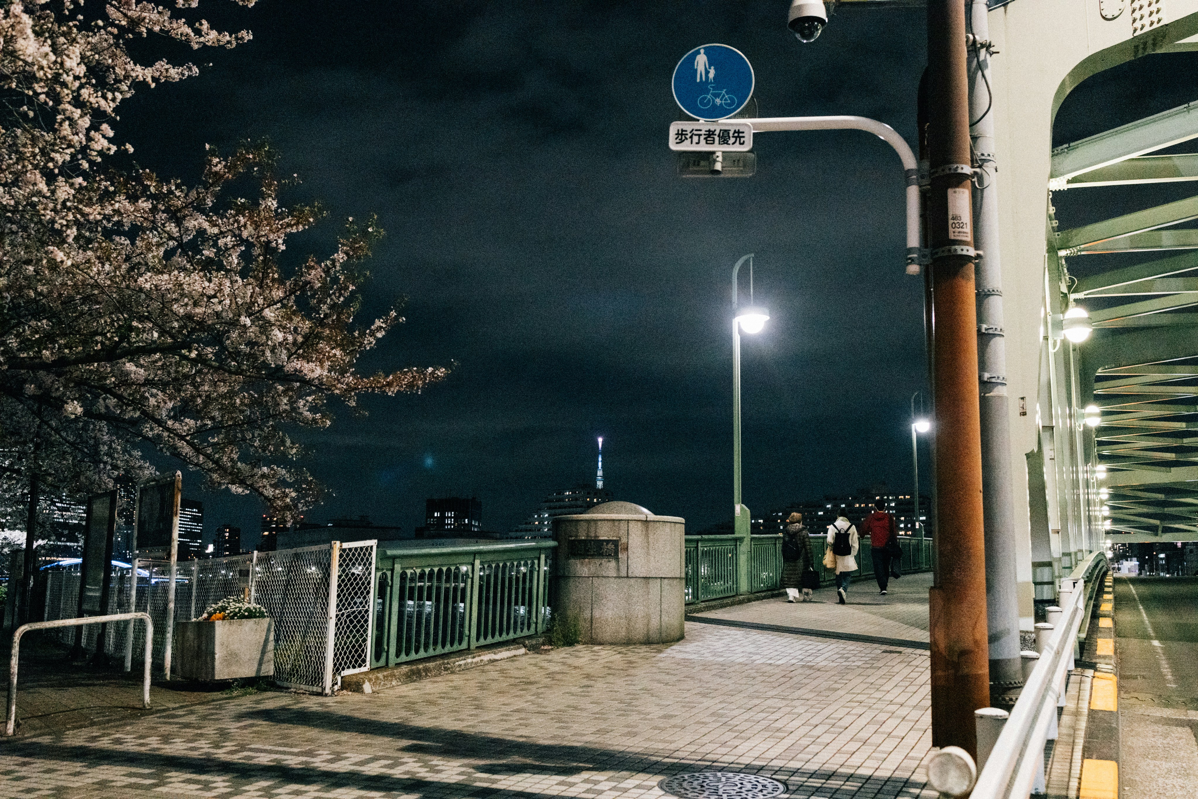 Night view of a bridge with cherry blossoms