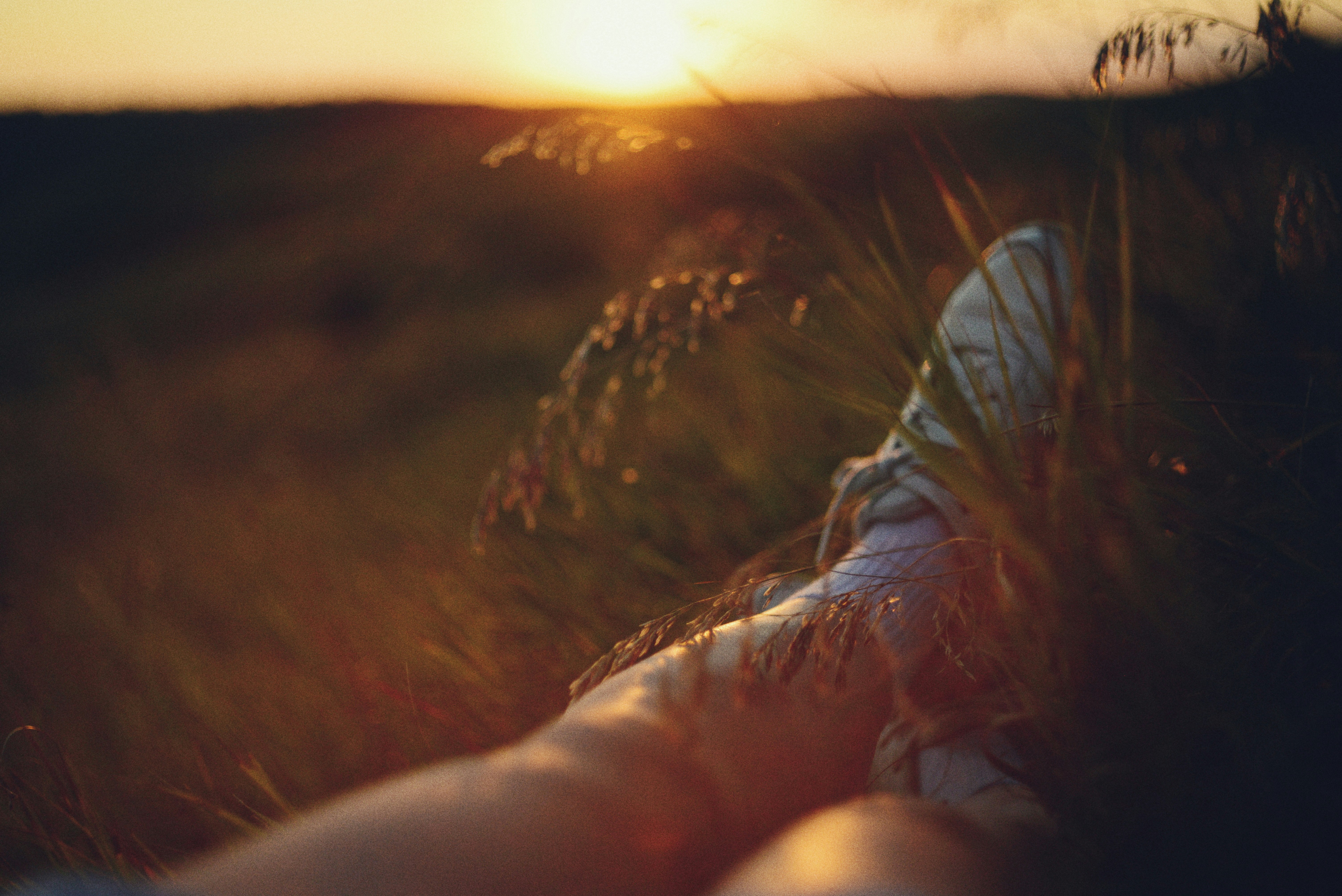 Person sitting in tall grass at sunset