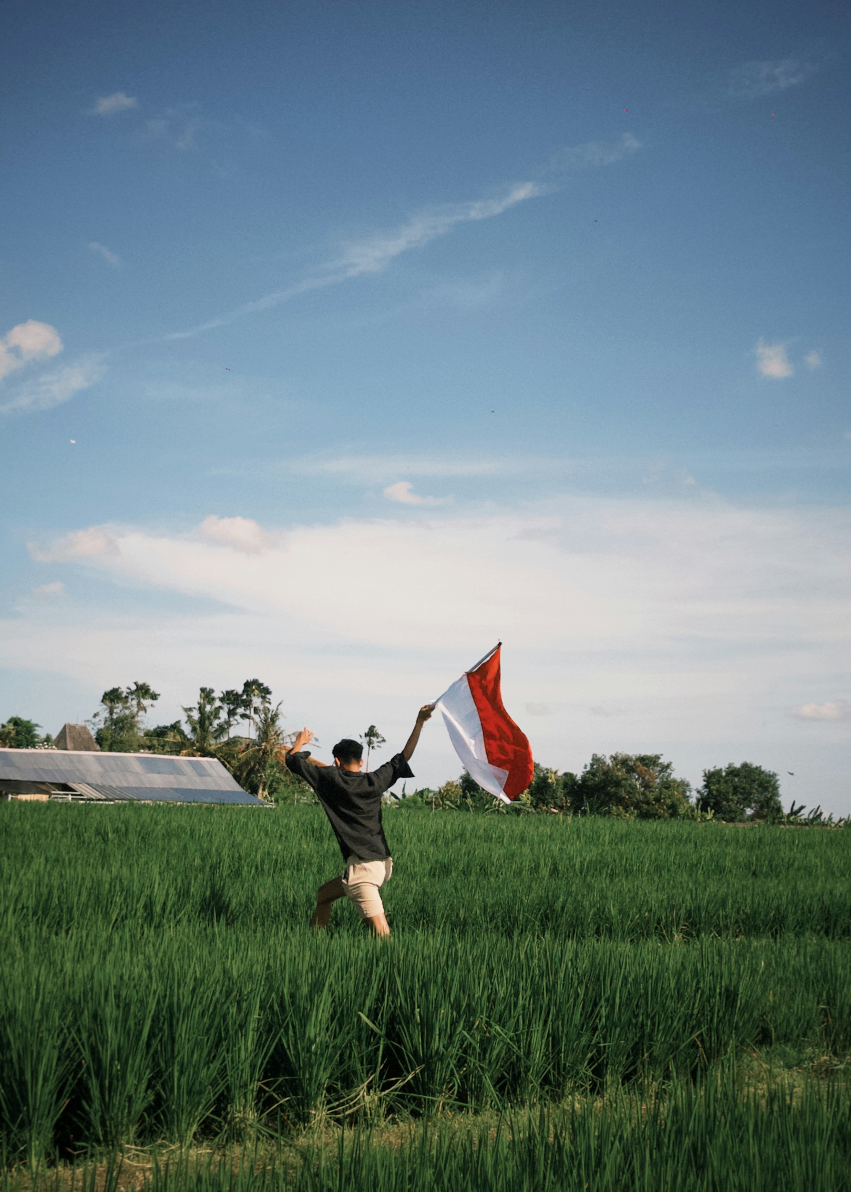 Pria memegang bendera Indonesia di sawah