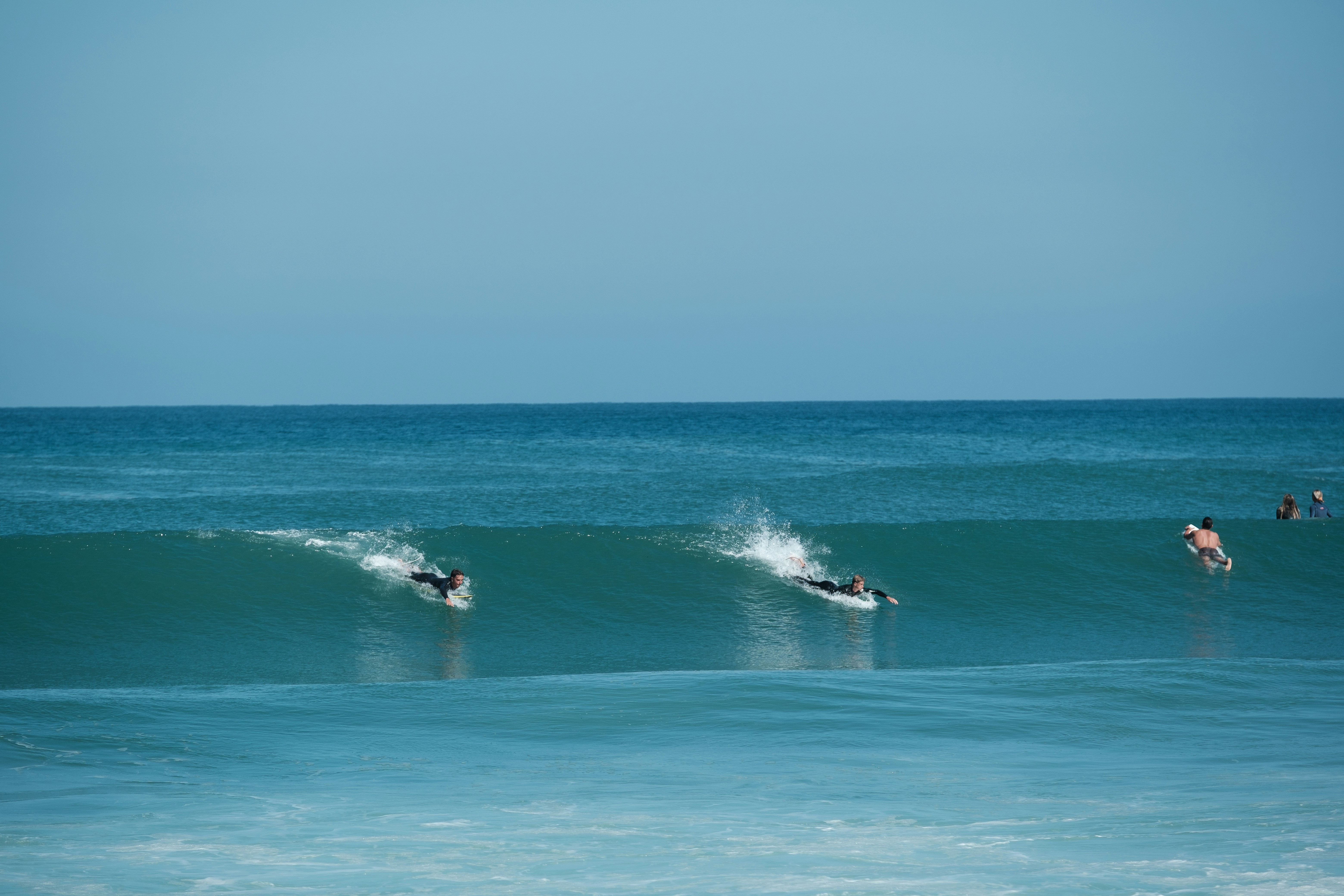 晴れた日に波に乗るサーファーたち