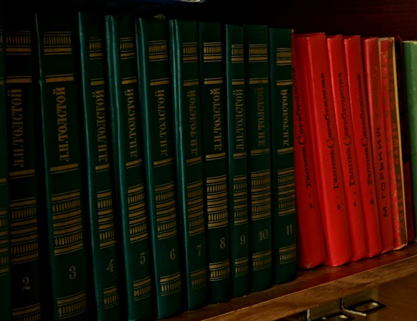 A close-up of a bookshelf lined with colorful book spines, like a classroom library a Las Vegas teacher would build