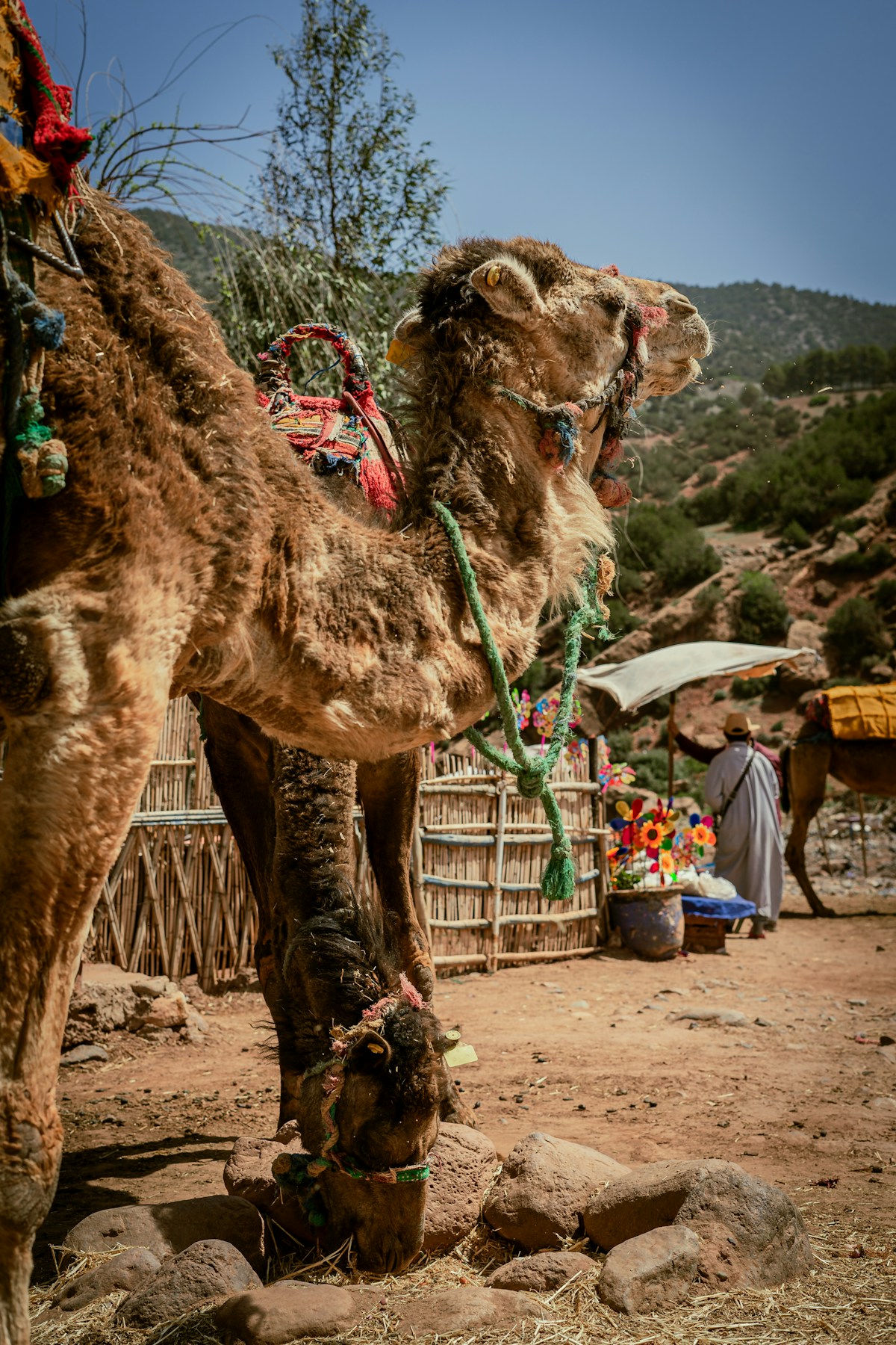 Atlas mountains tour - Berber village and scenic mountain views