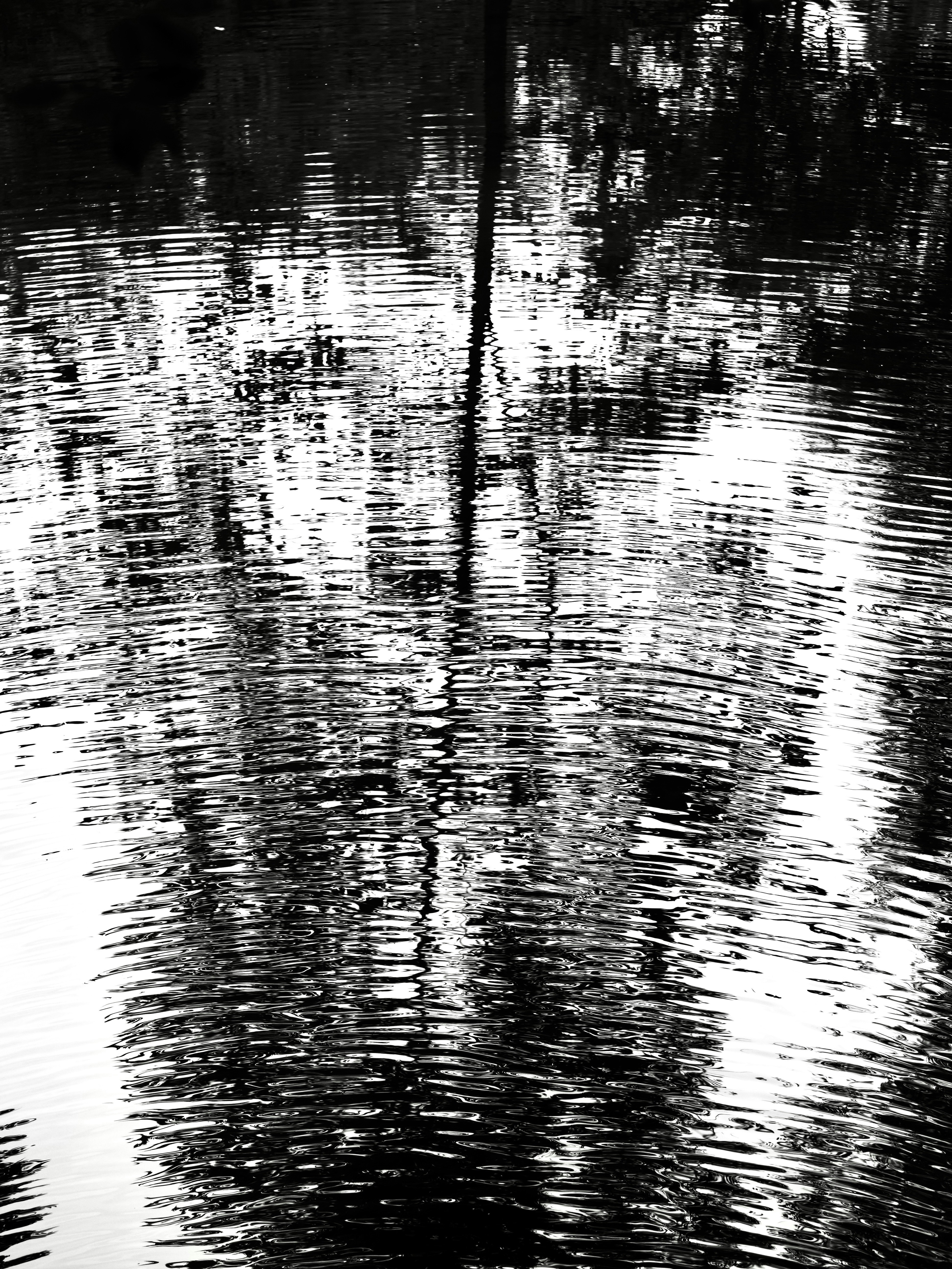 Photo by sschusterphotoart