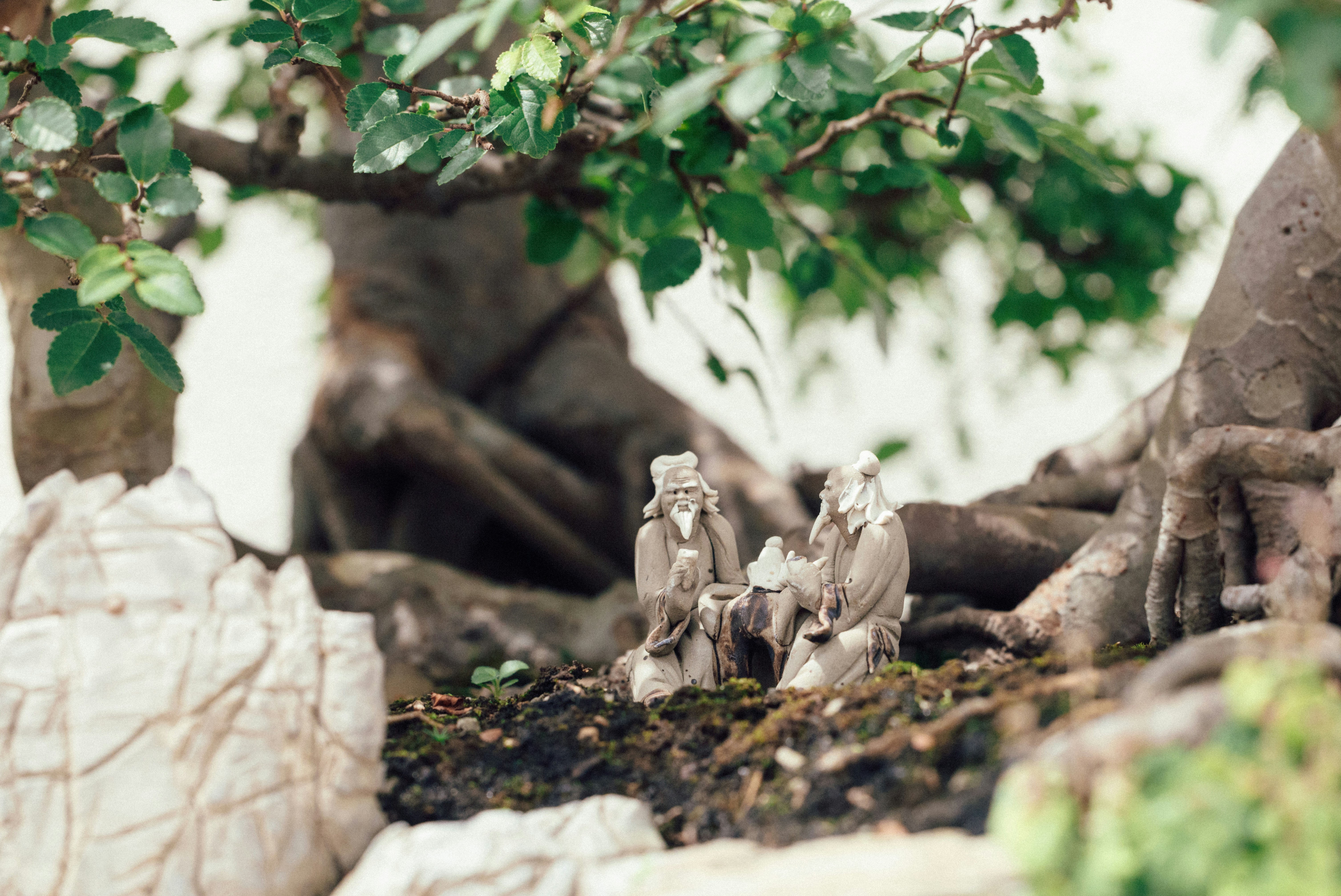 Miniature figures sit amongst bonsai tree roots and rocks
