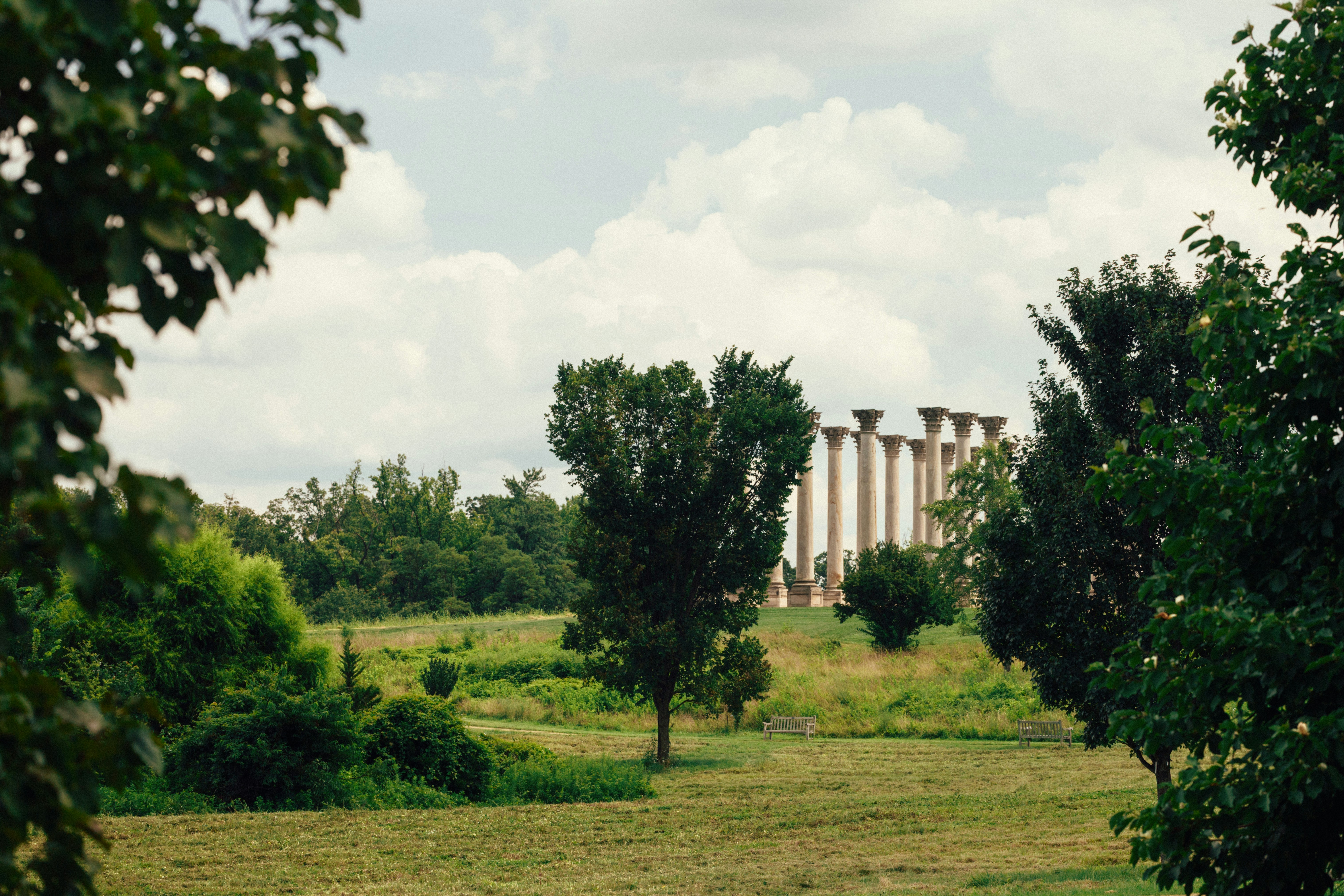 Classical columns atop a grassy hill with trees