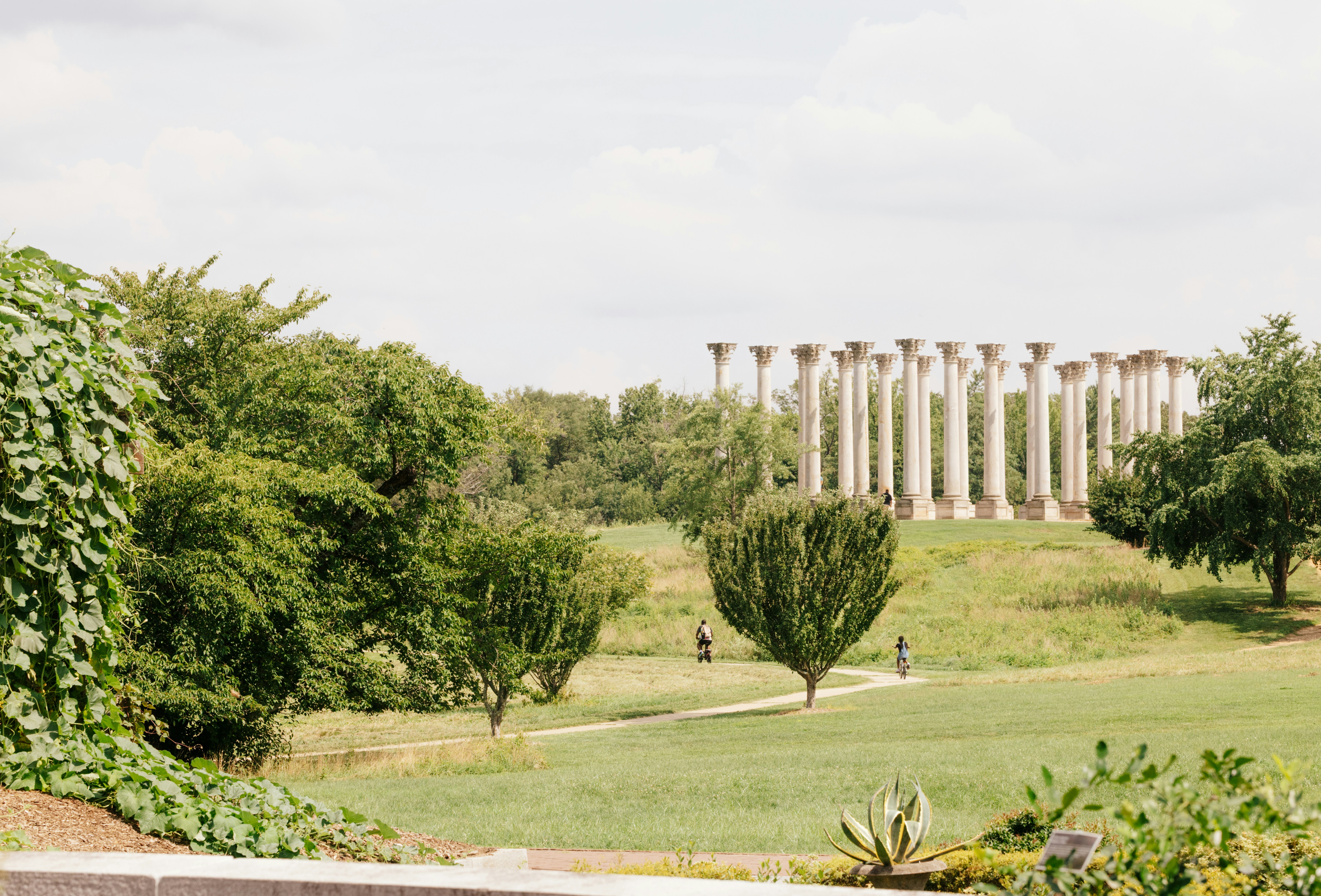 Neoclassical columns in a grassy park