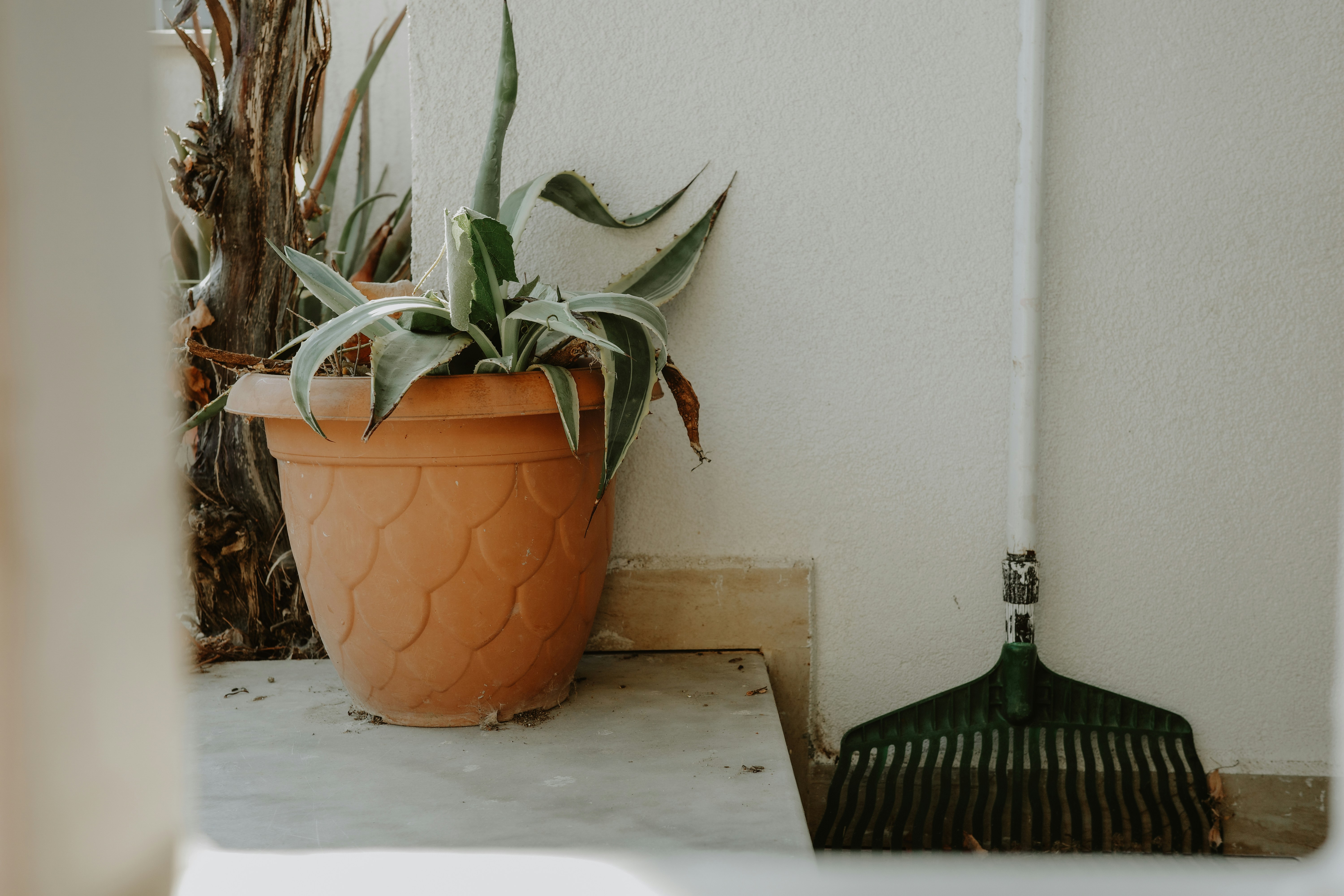 Photo by virginiaphotostories