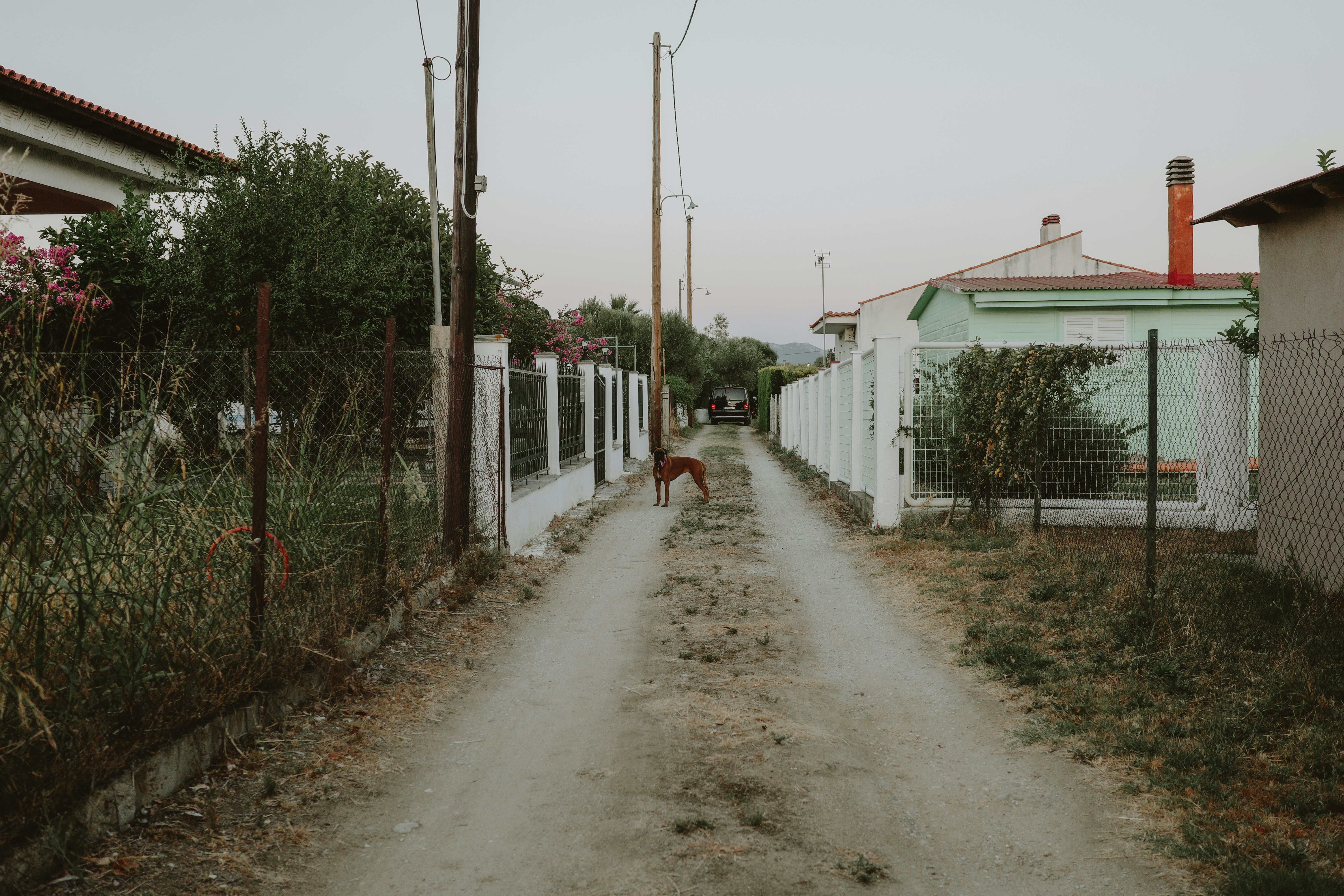 Photo by virginiaphotostories