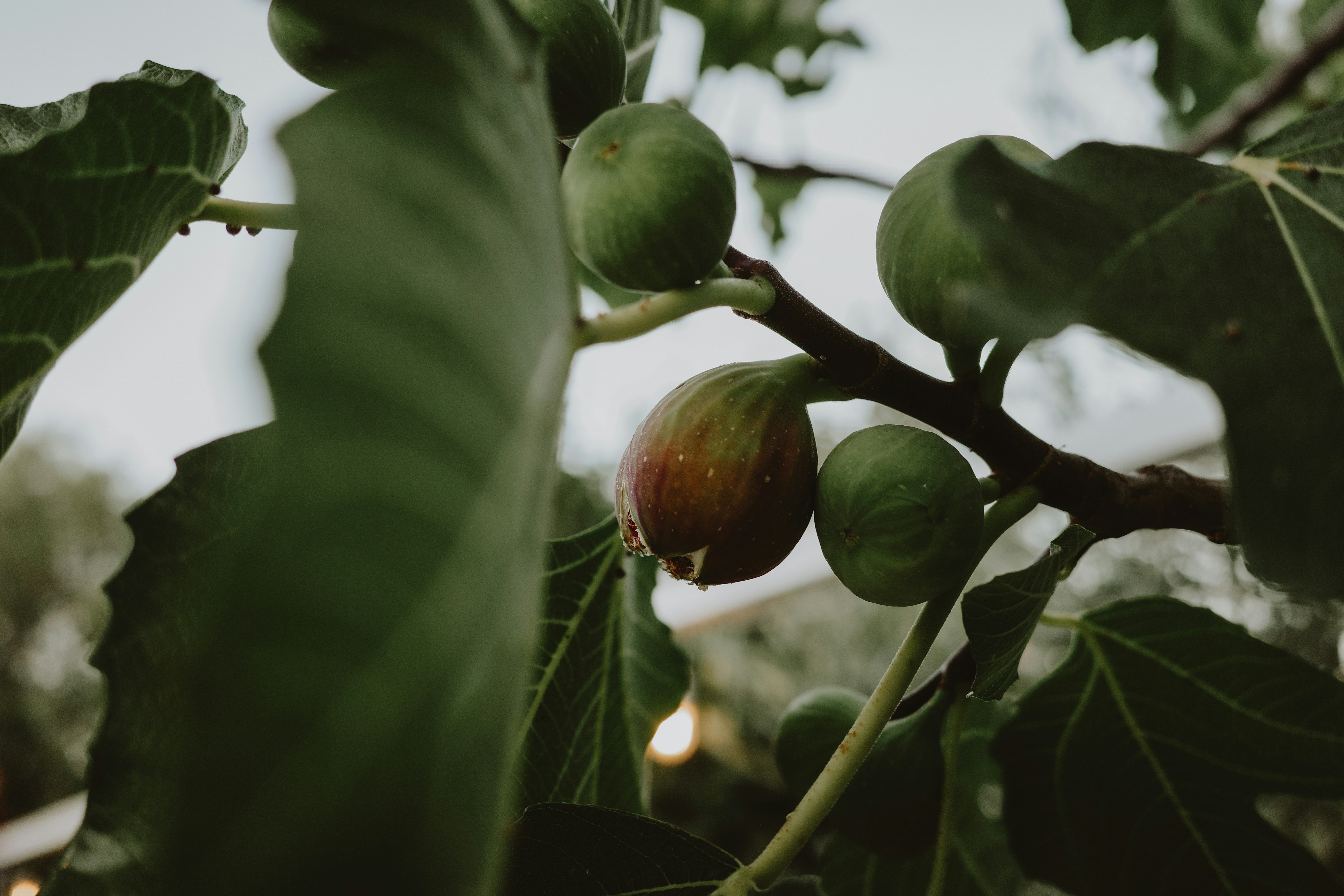 Photo by virginiaphotostories