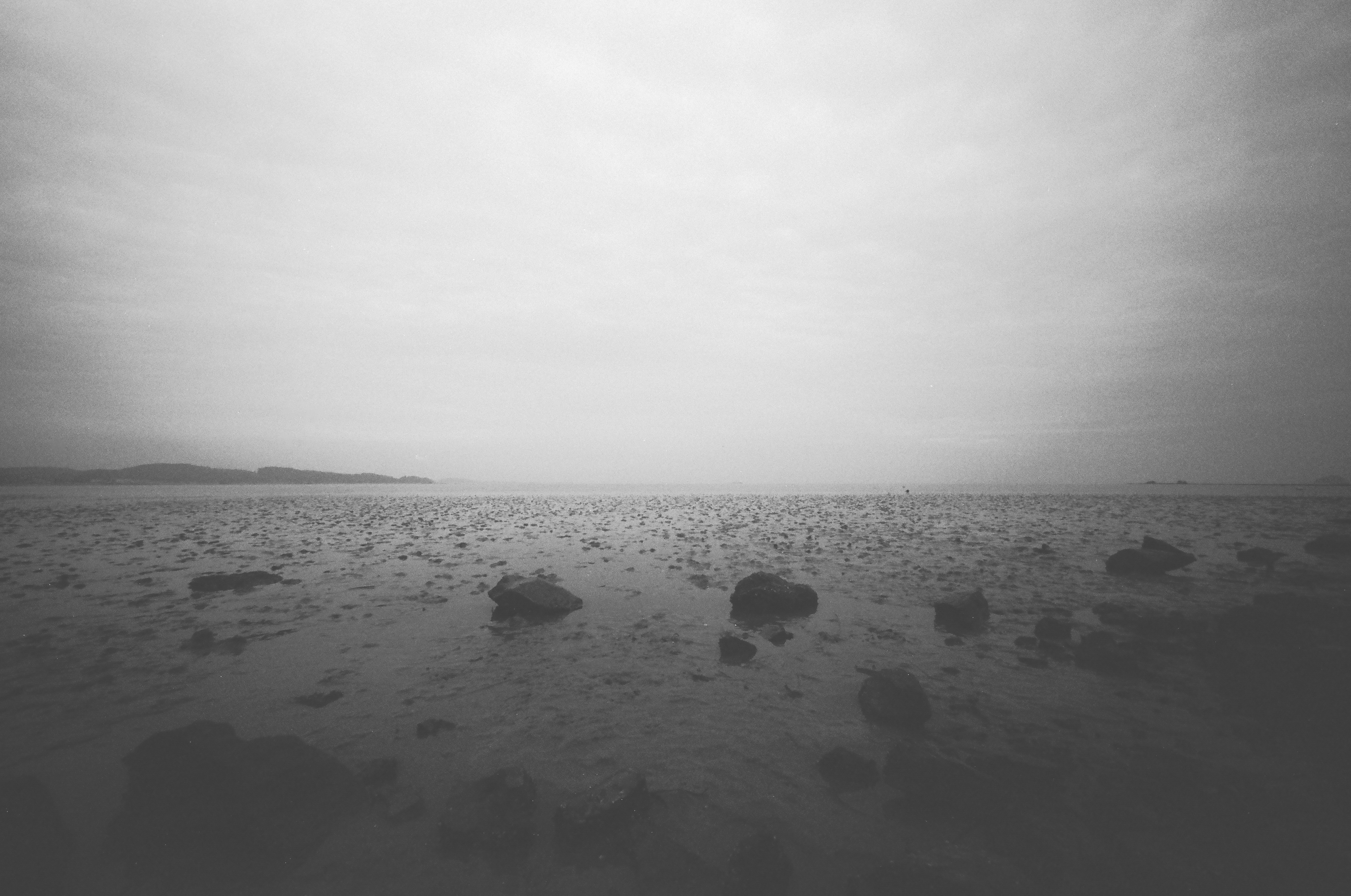 Photo by ttokttak_noir