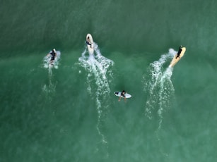 Surfers riding waves on a clear day