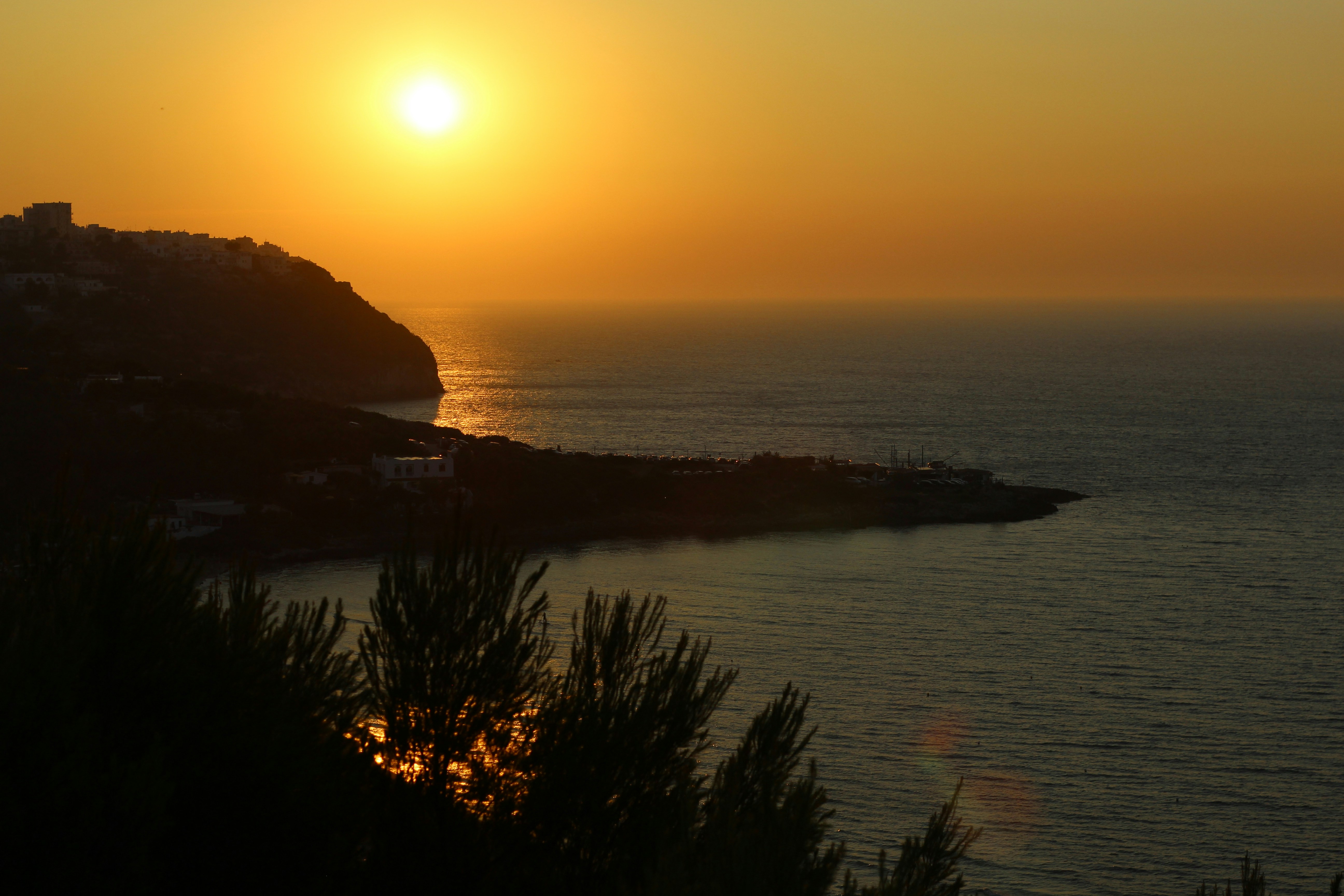 Photo by emanuelecuf