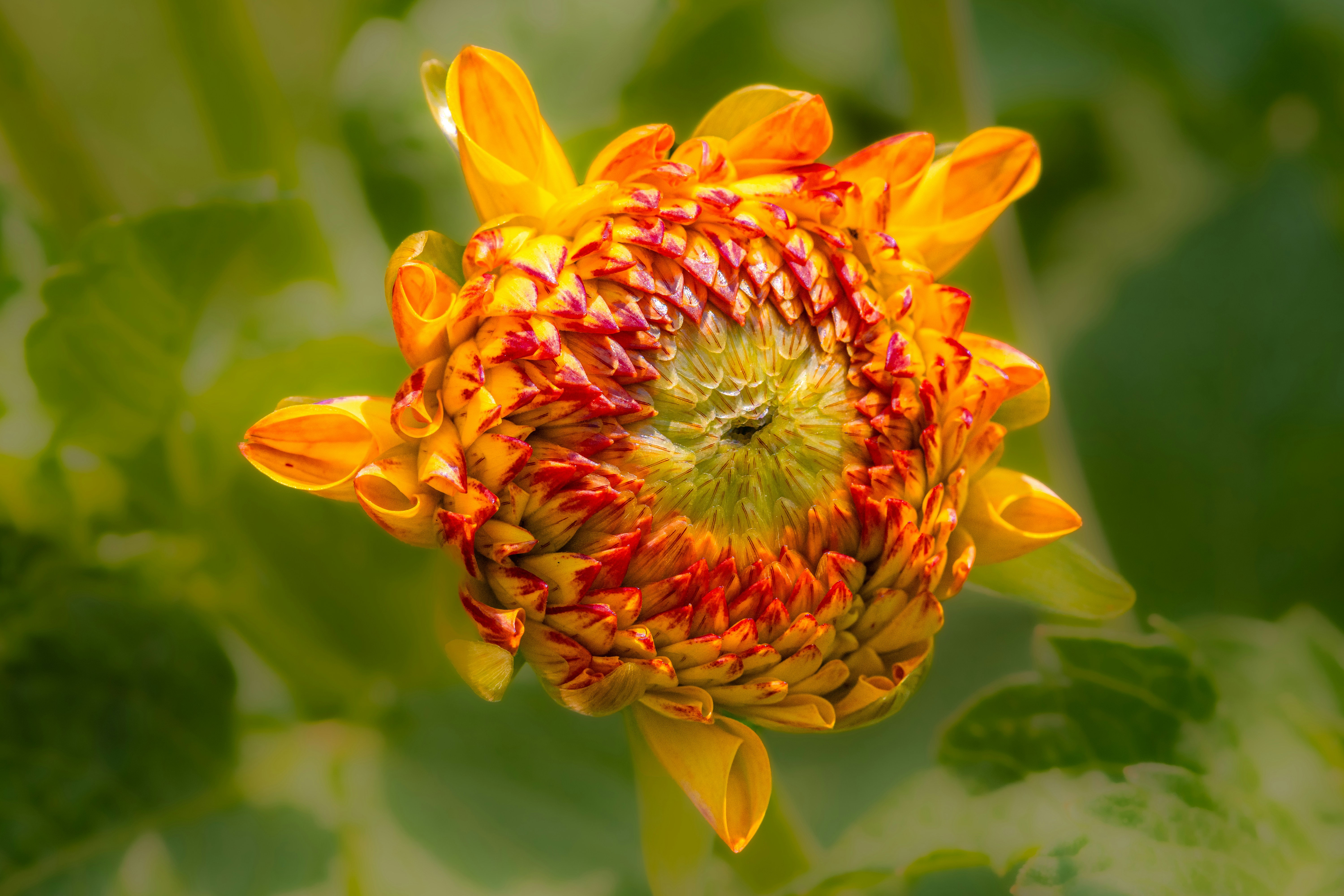 Photo by siegfriedpoepperl