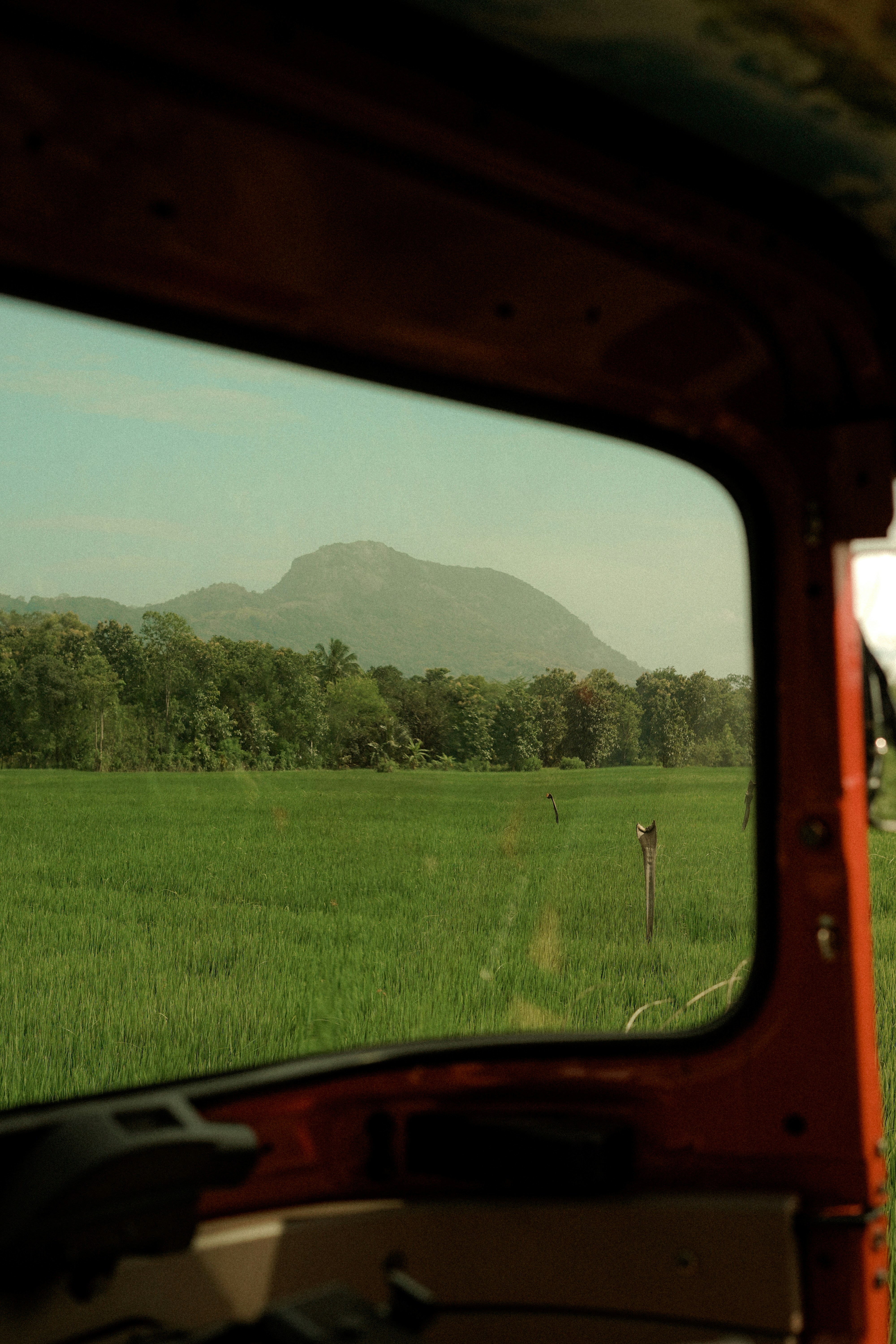 Tuk-tuk in scenic location