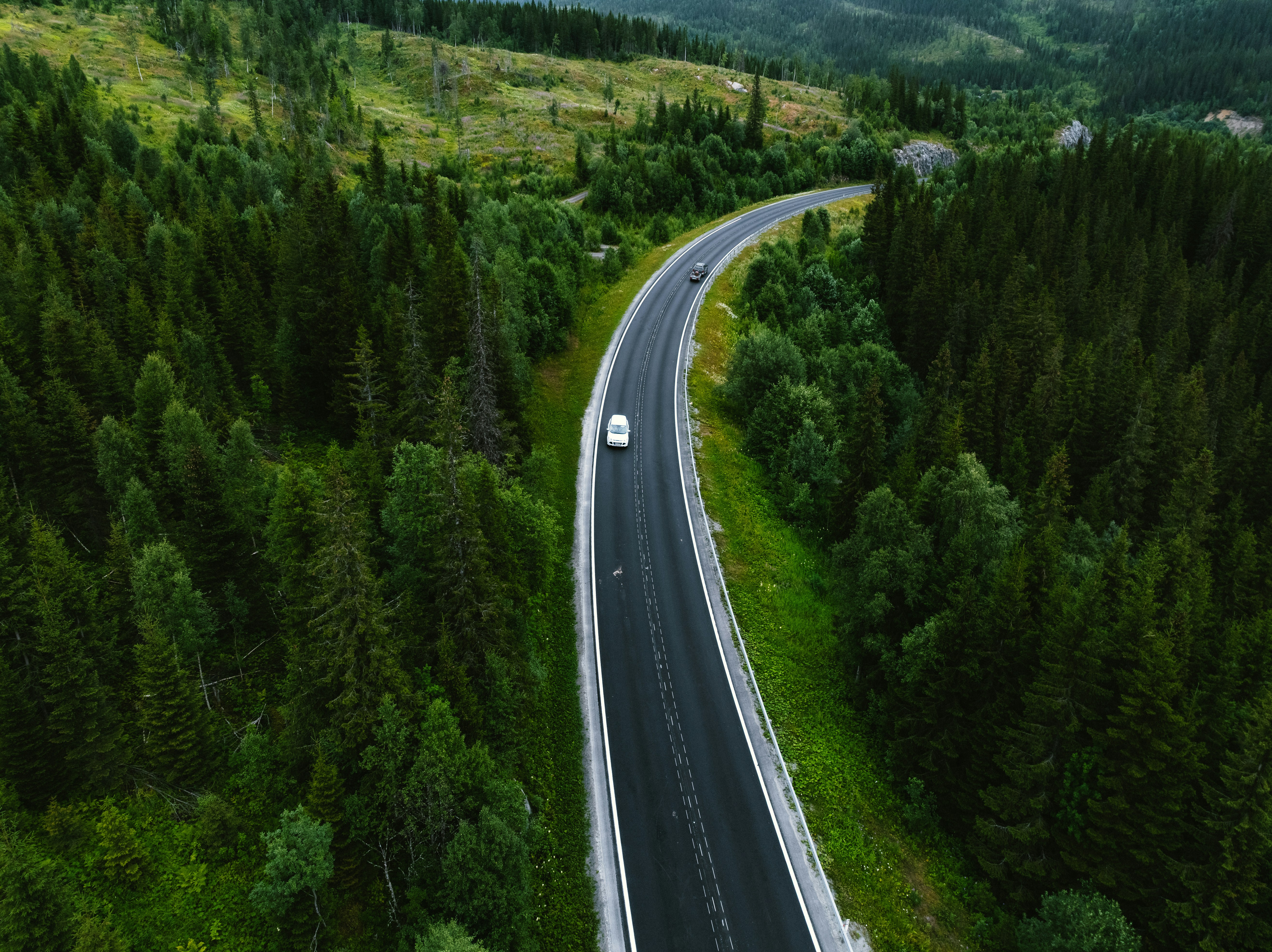 Photo by kristapsungurs